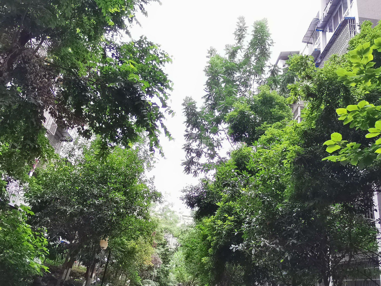 东湖胜景二期图片