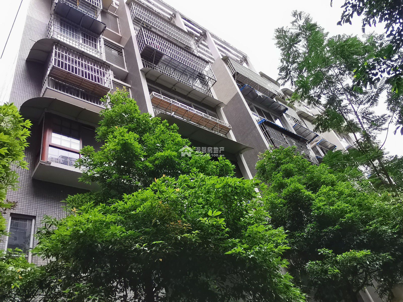 东湖胜景二期图片