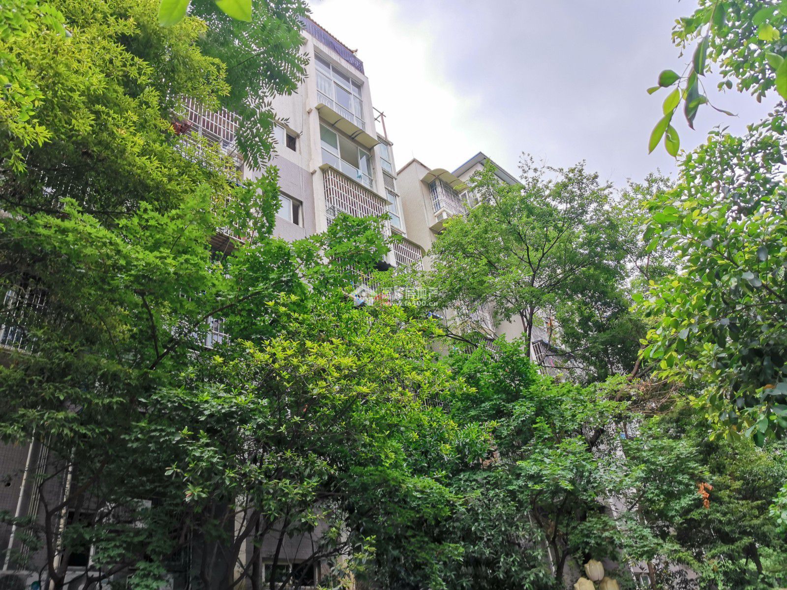 东湖胜景二期图片