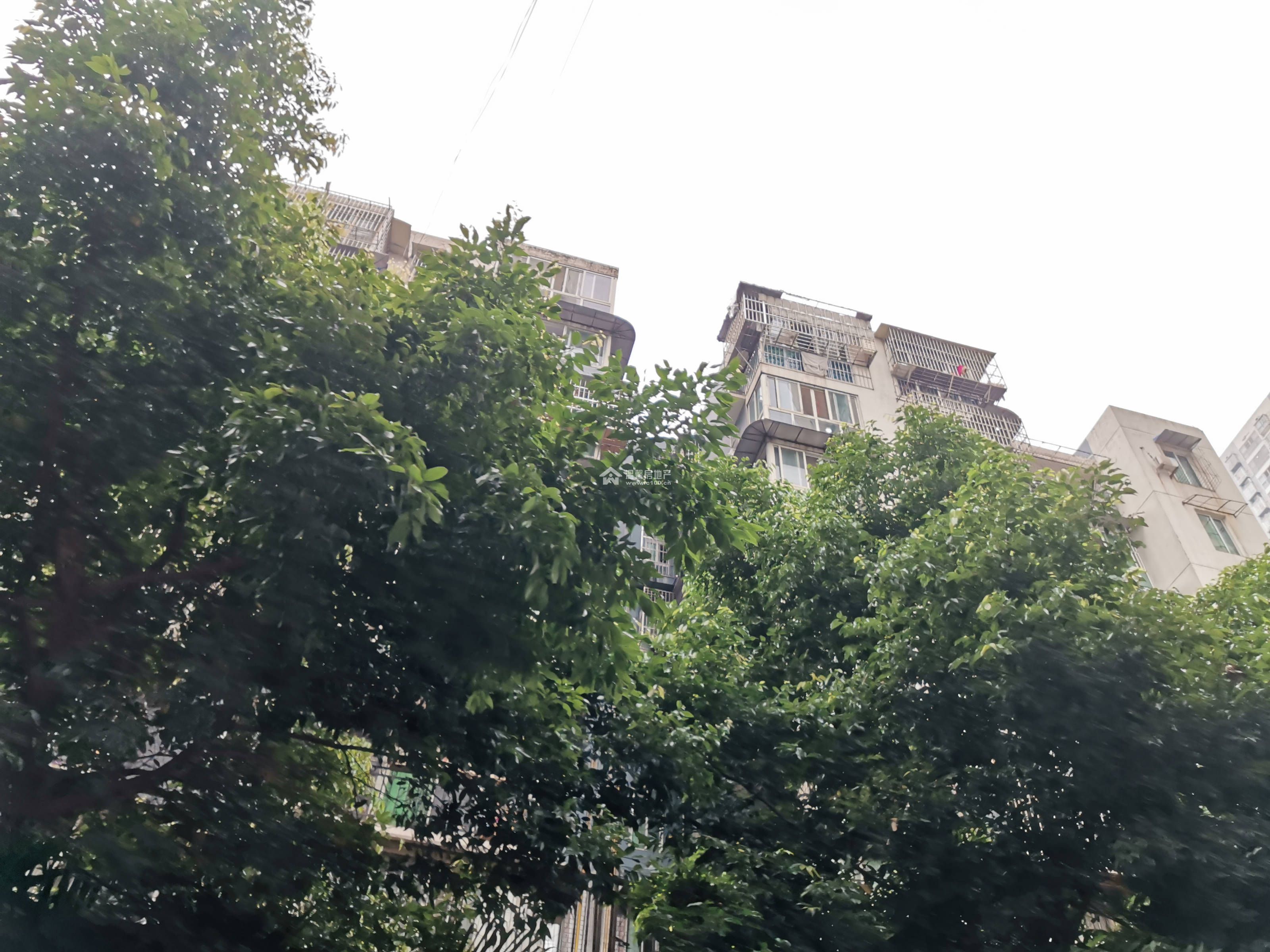 海上花园三期图片