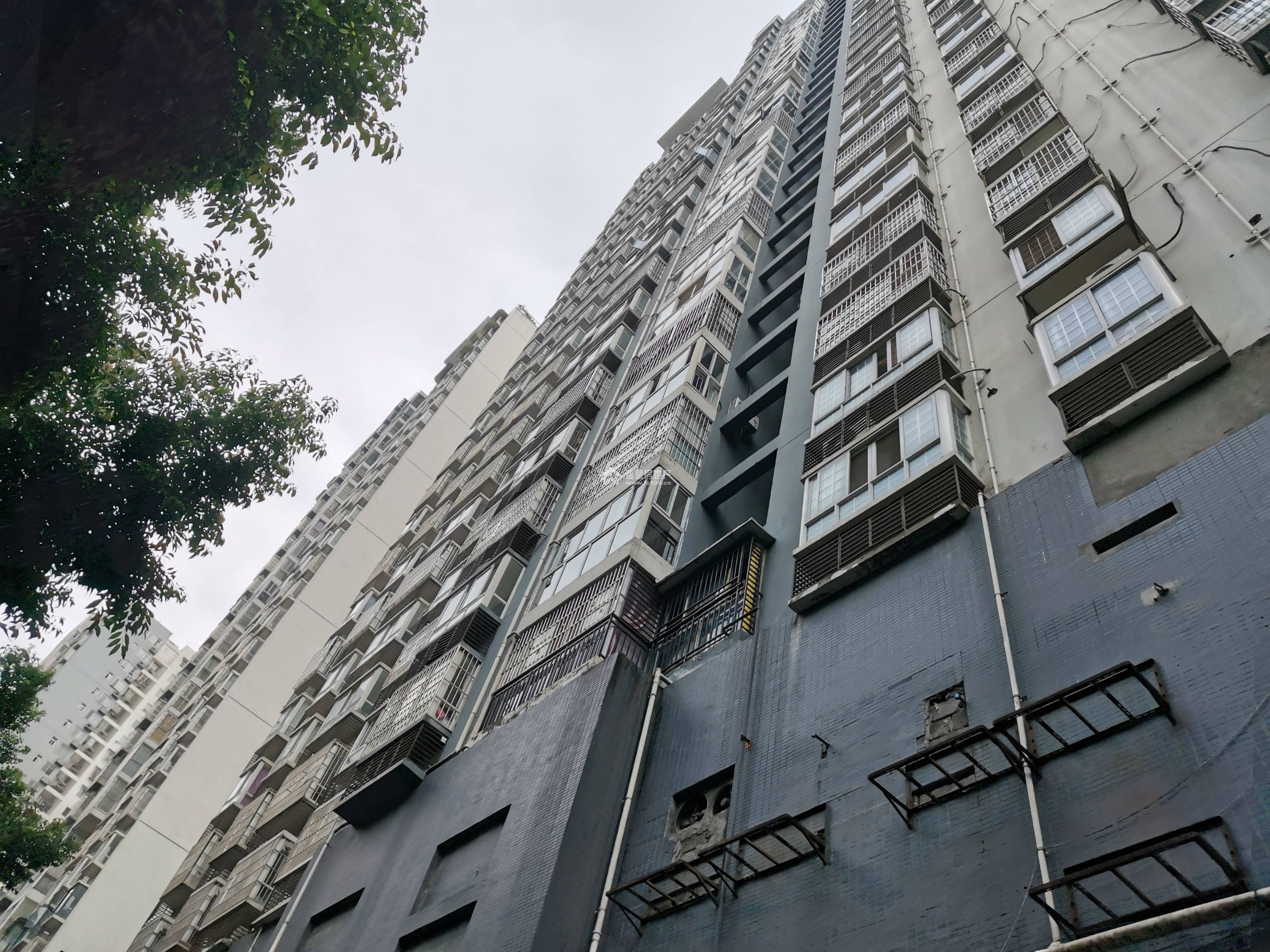 海上花园三期图片