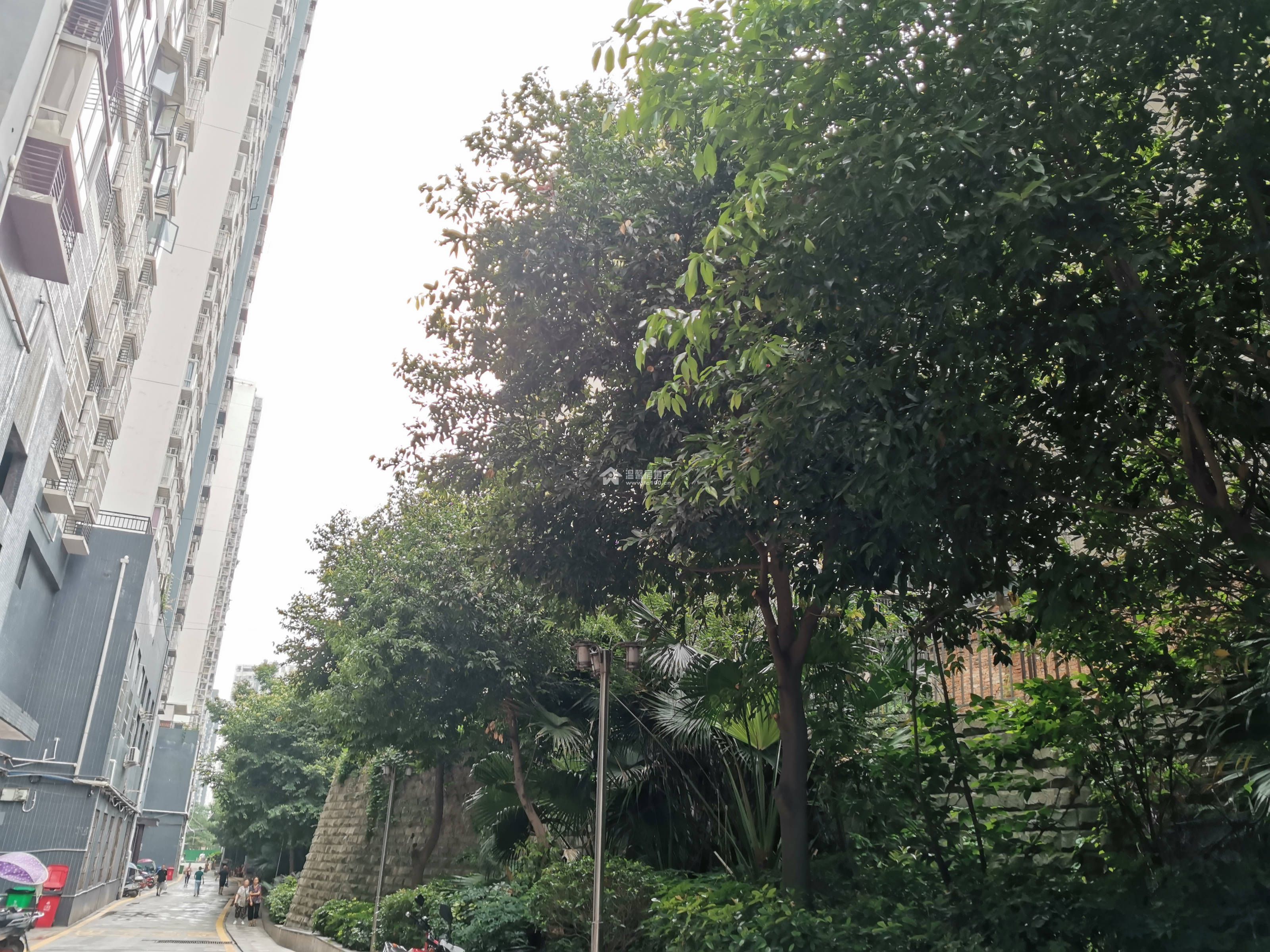 海上花园三期图片