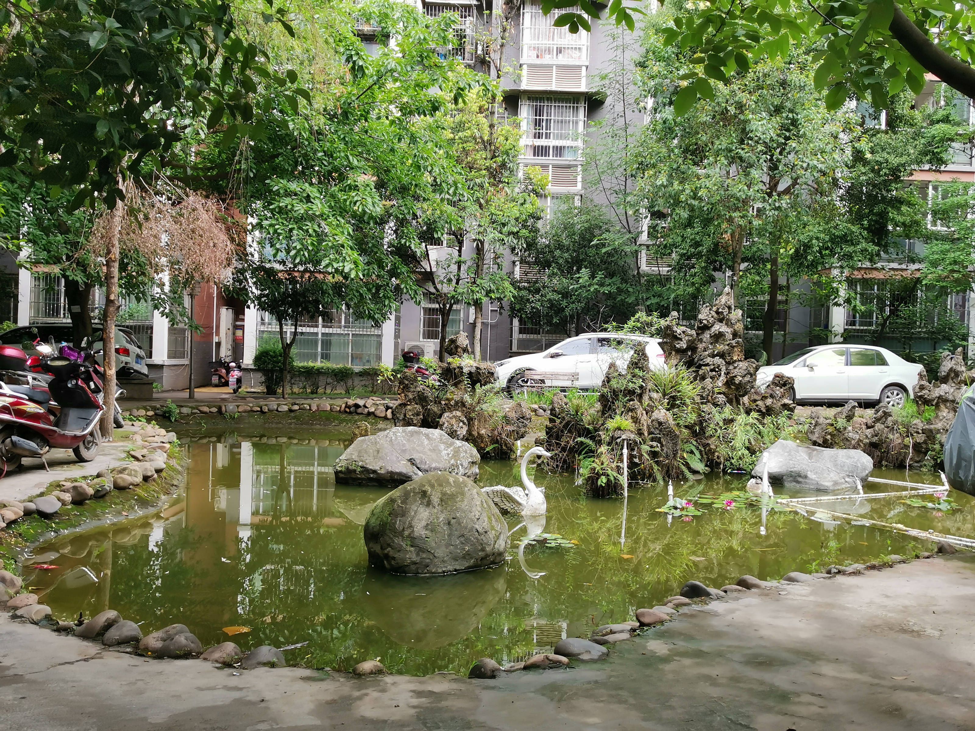 精华逸景二期图片