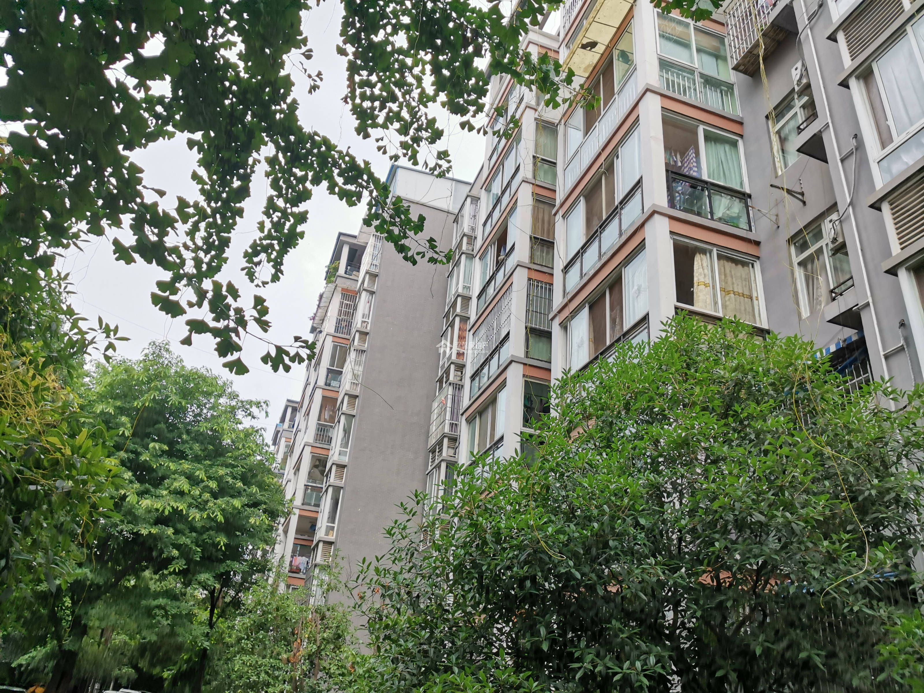 精华逸景二期图片