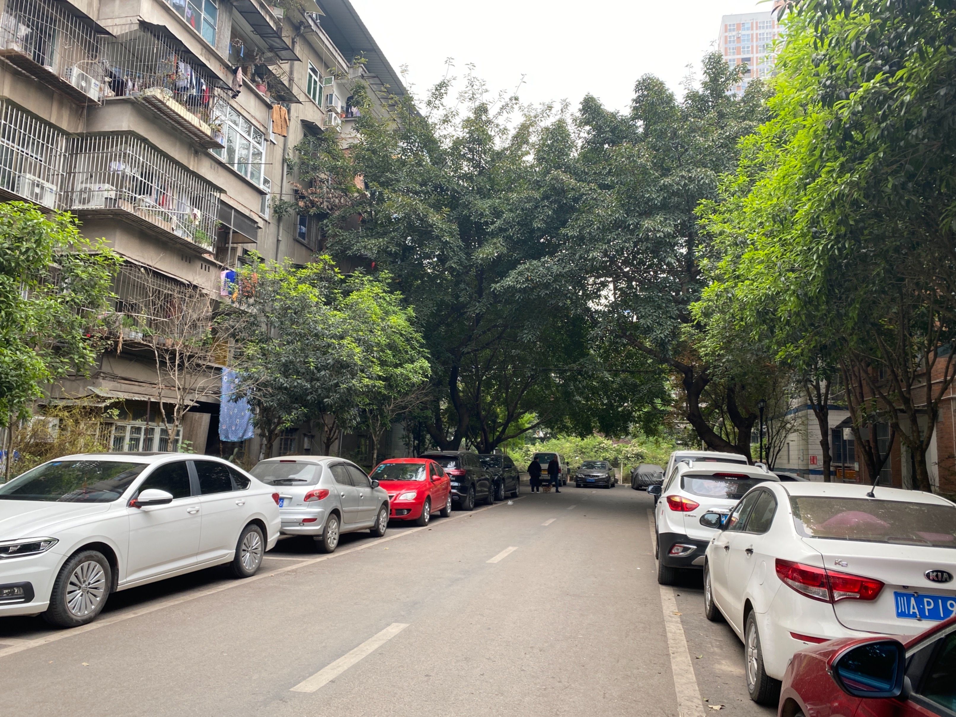 成勘大院（建设中路）图片