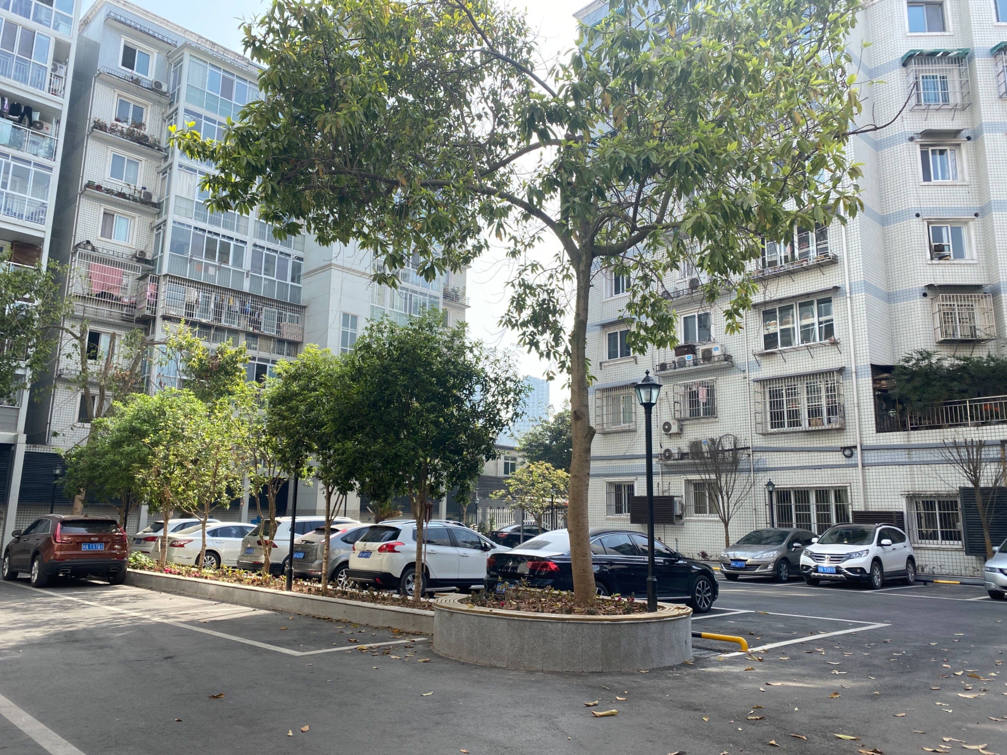 财政局宿舍（金水街）图片