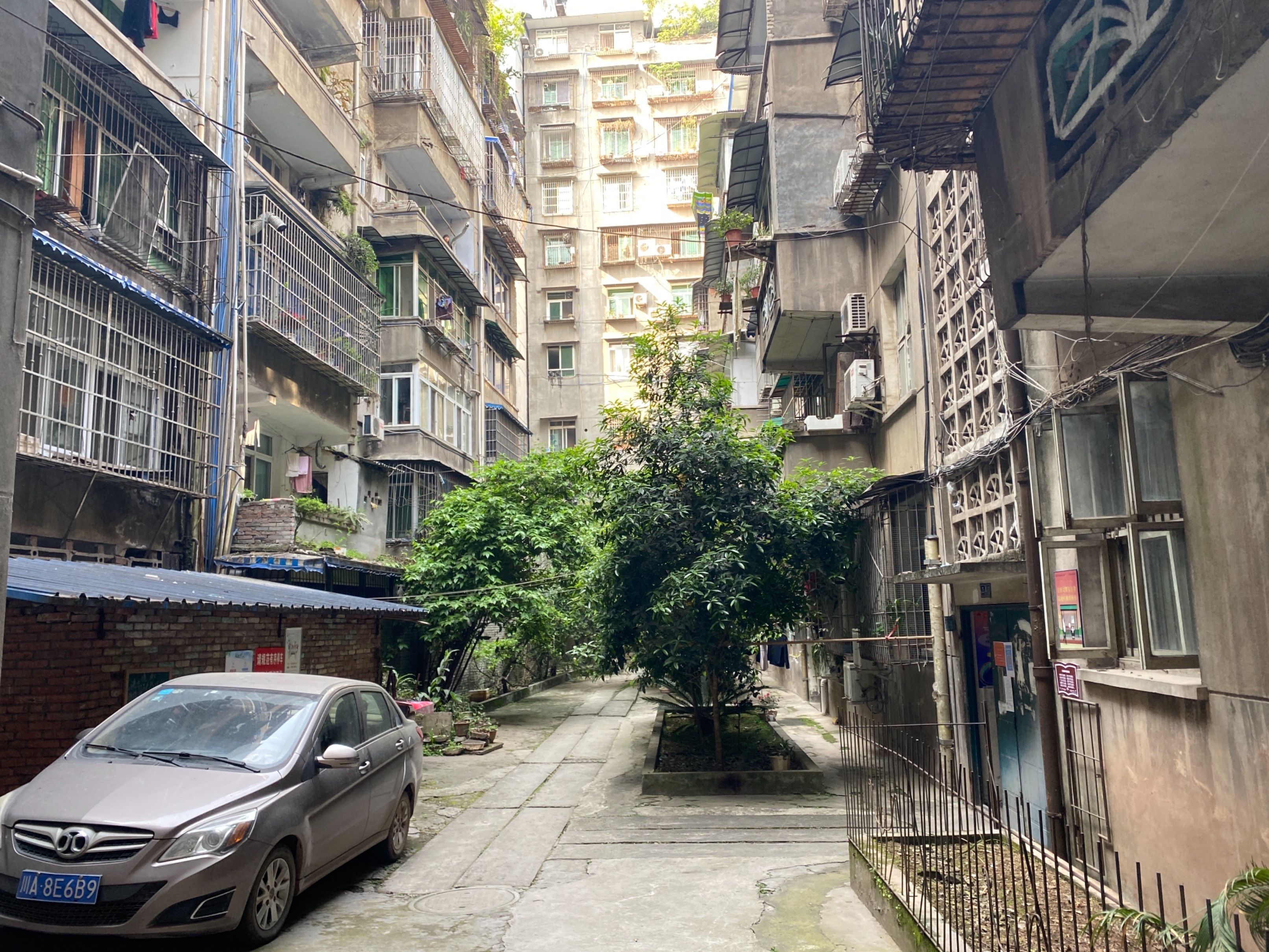 制药厂宿舍（红建路北段）图片