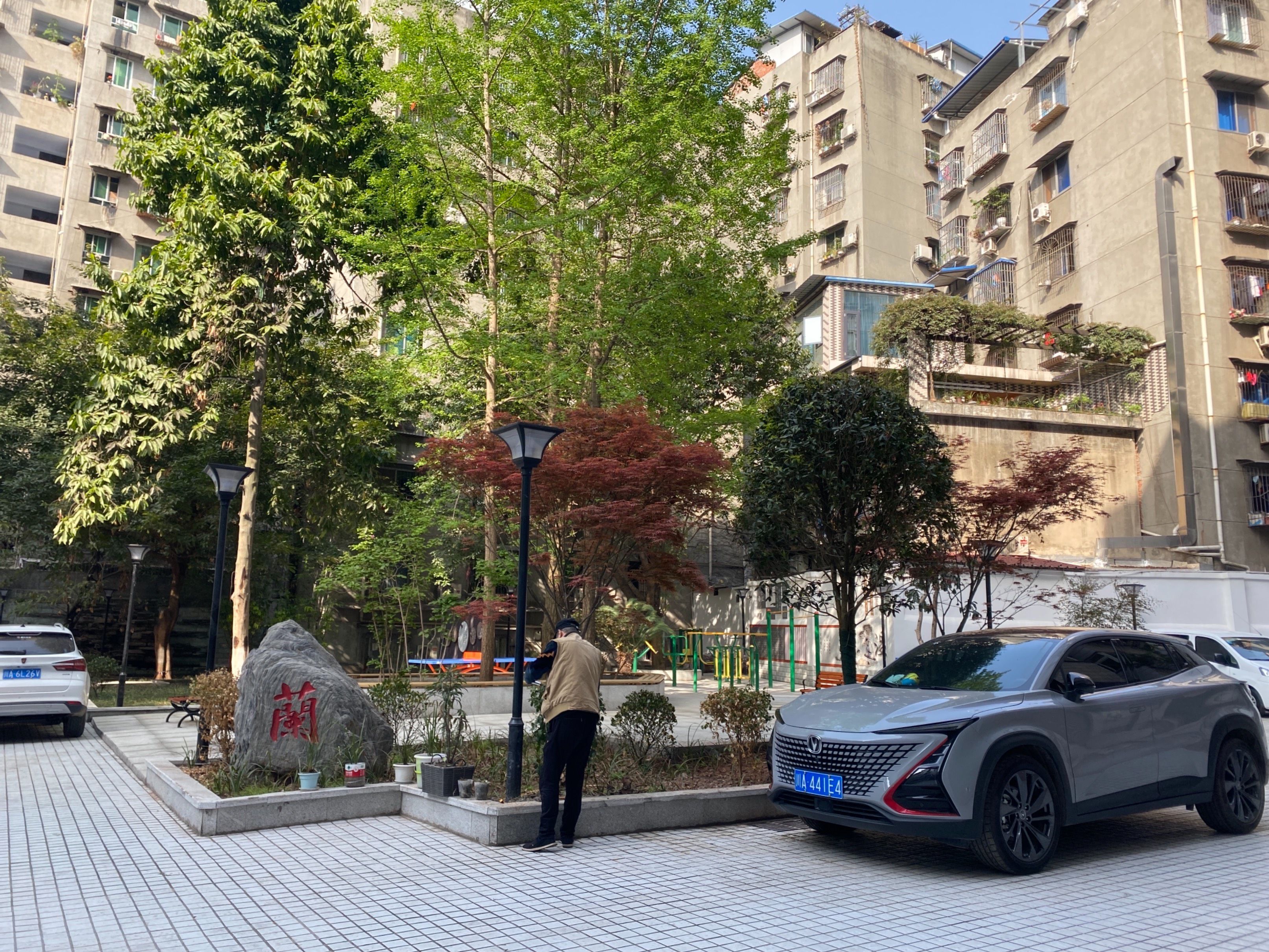 兰苑（地税局宿舍）图片