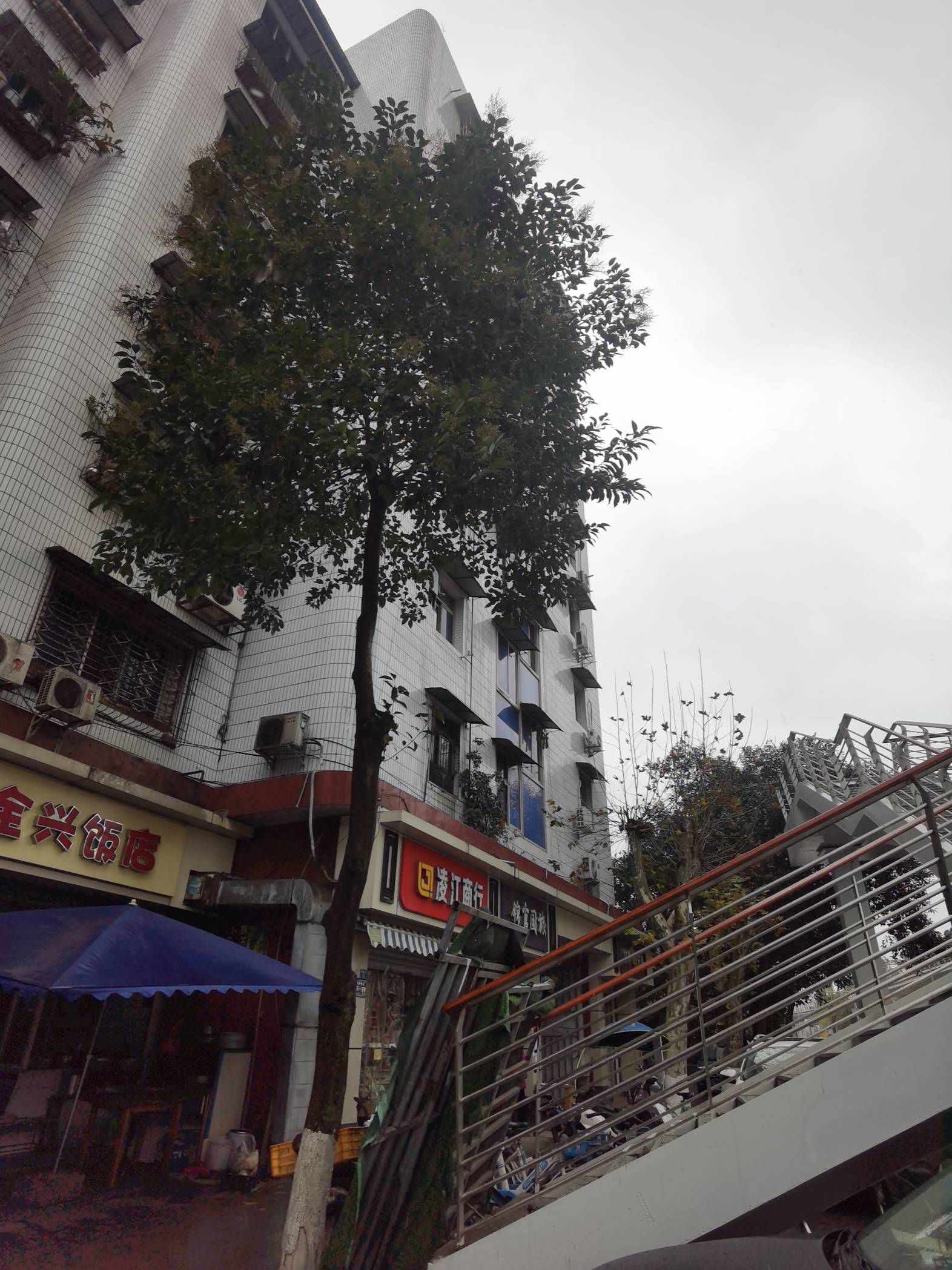 红塔建司居民小区图片