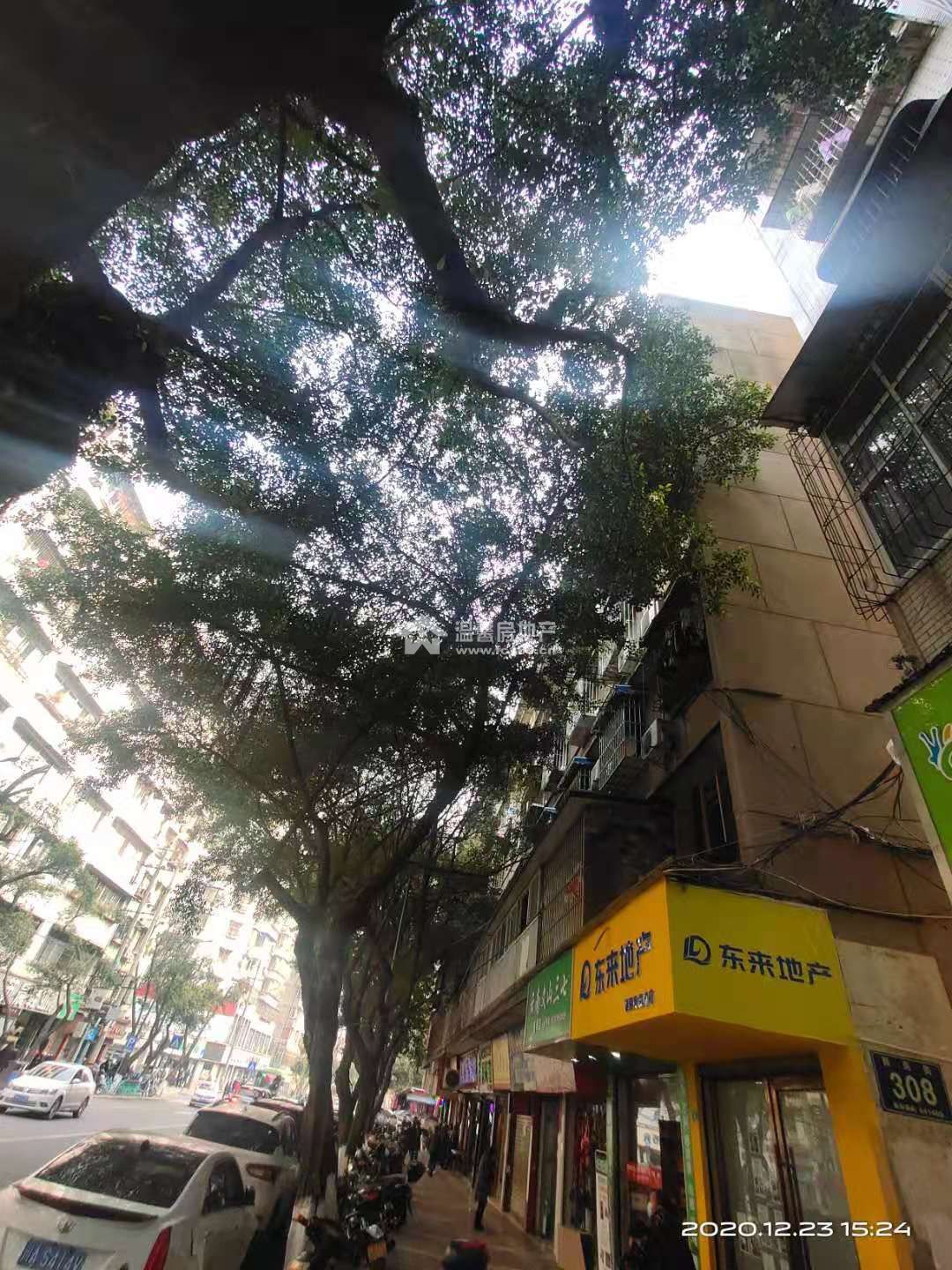 新民街308号图片