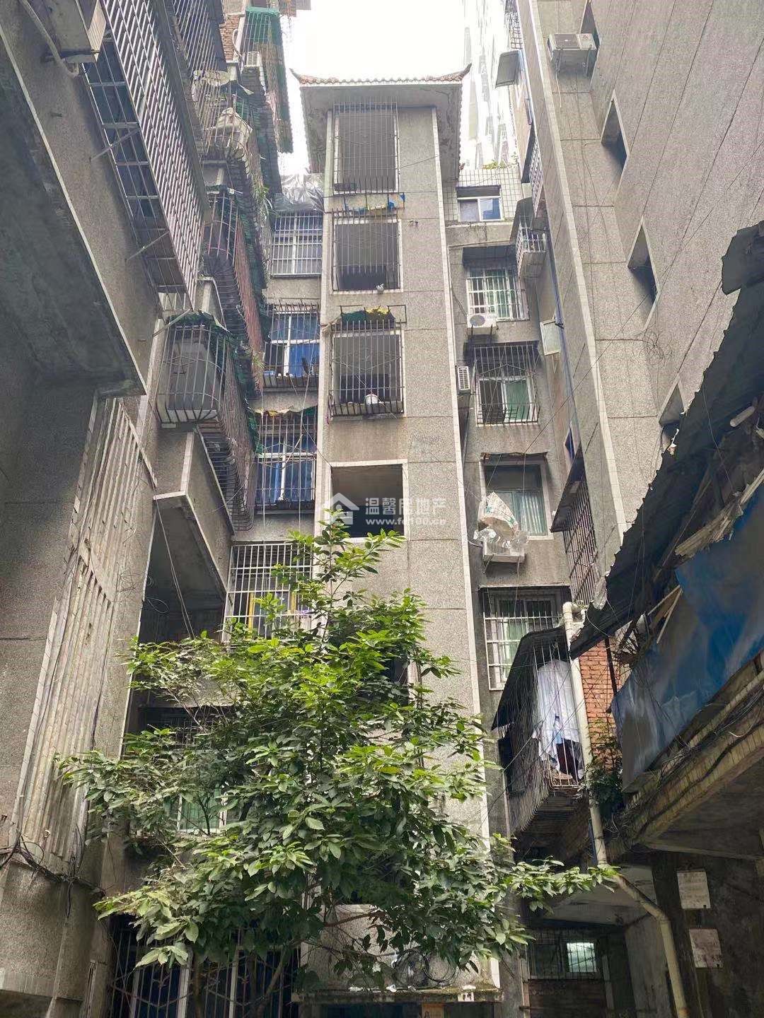 安象街26号图片