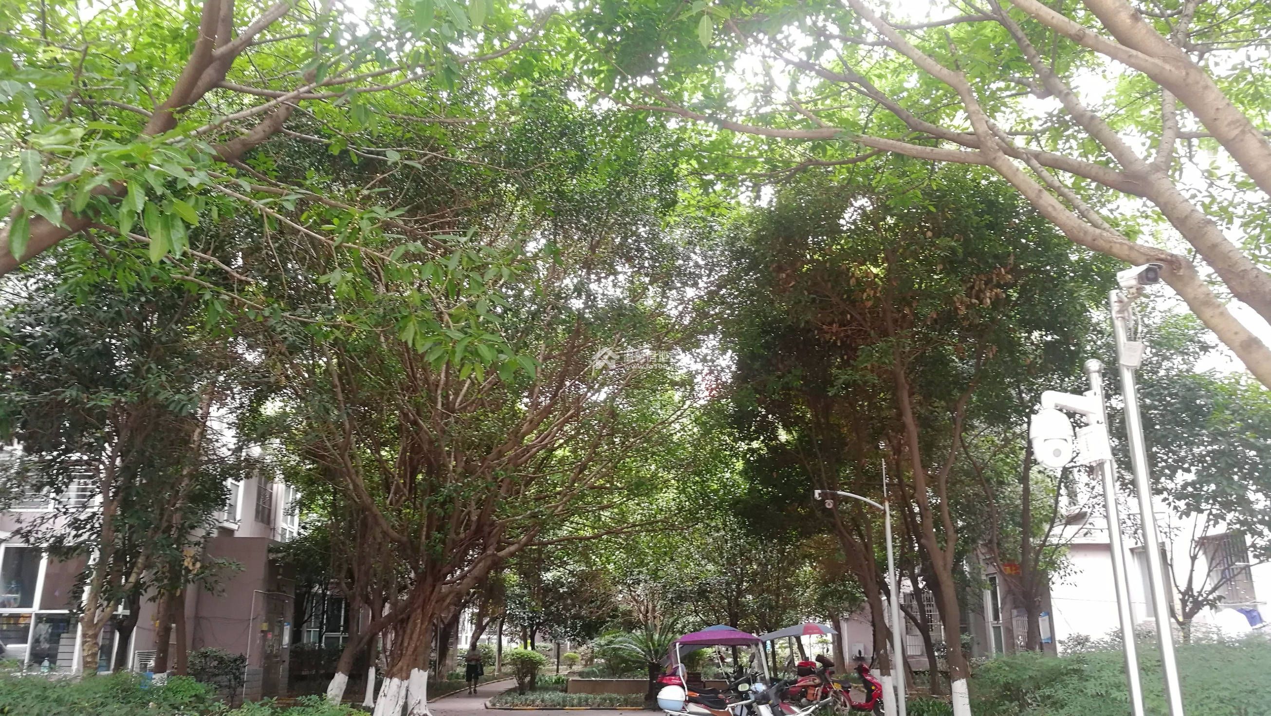 江水湾一二期图片