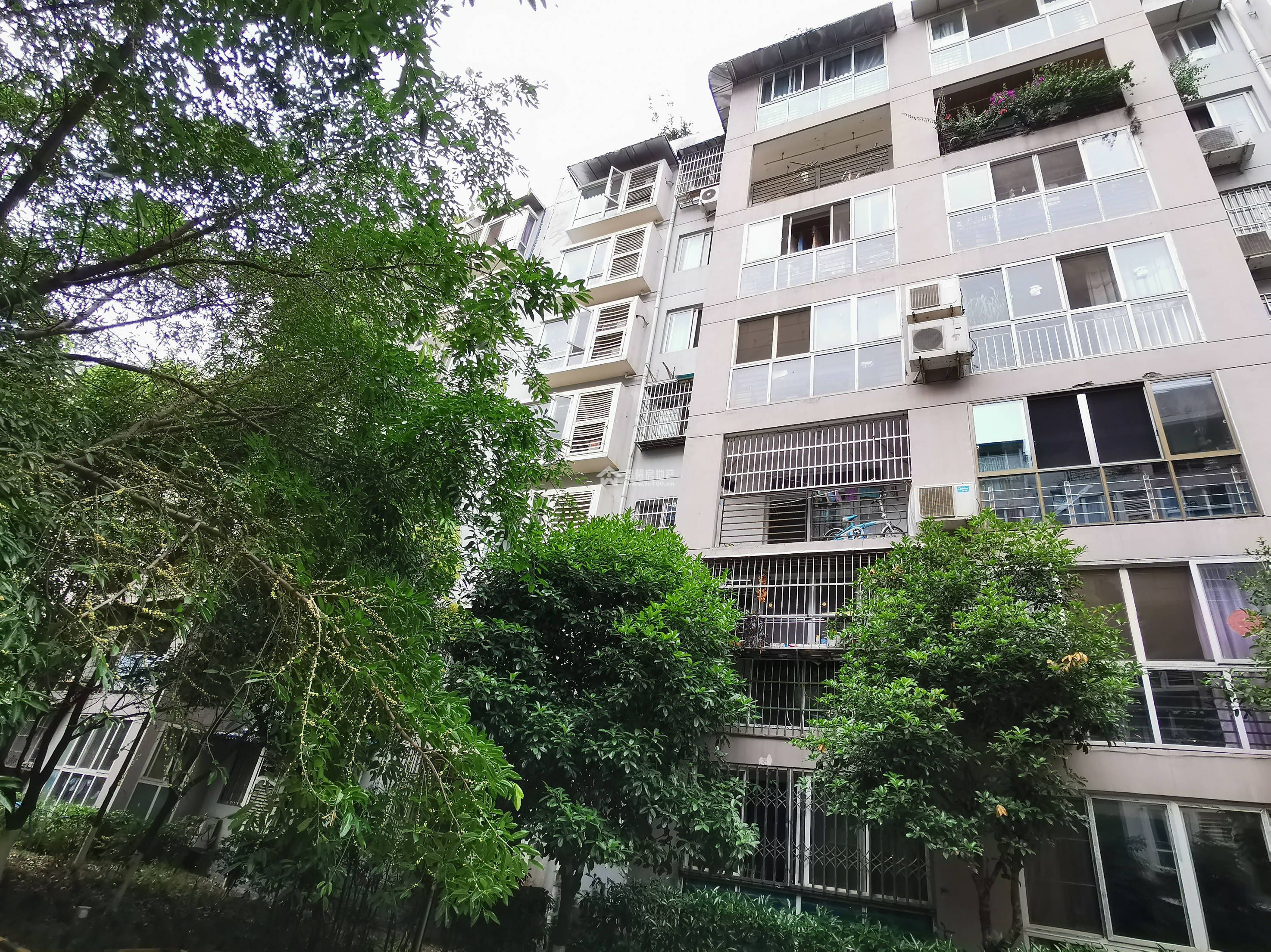 江水湾一二期图片