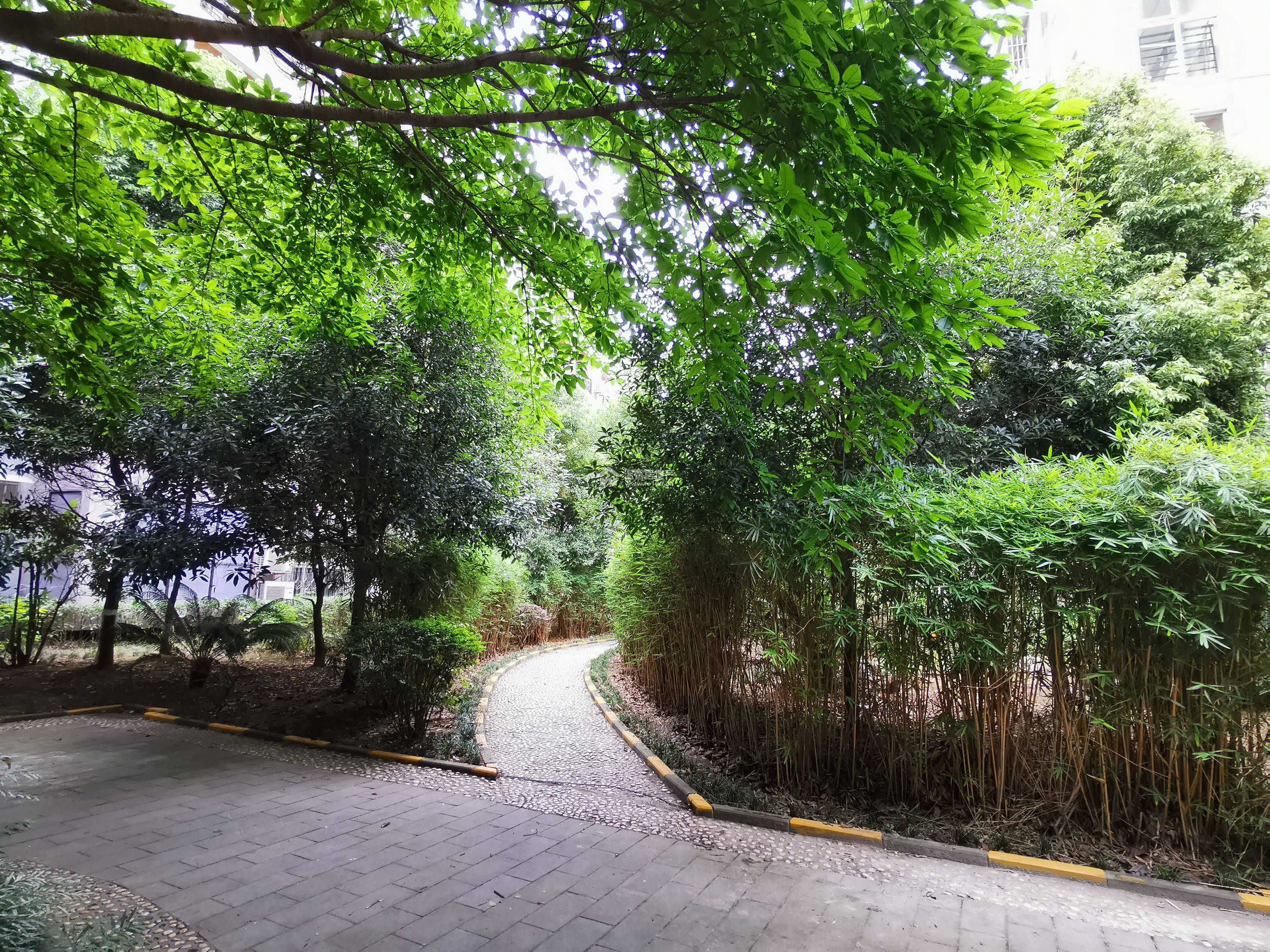 江水湾一二期图片