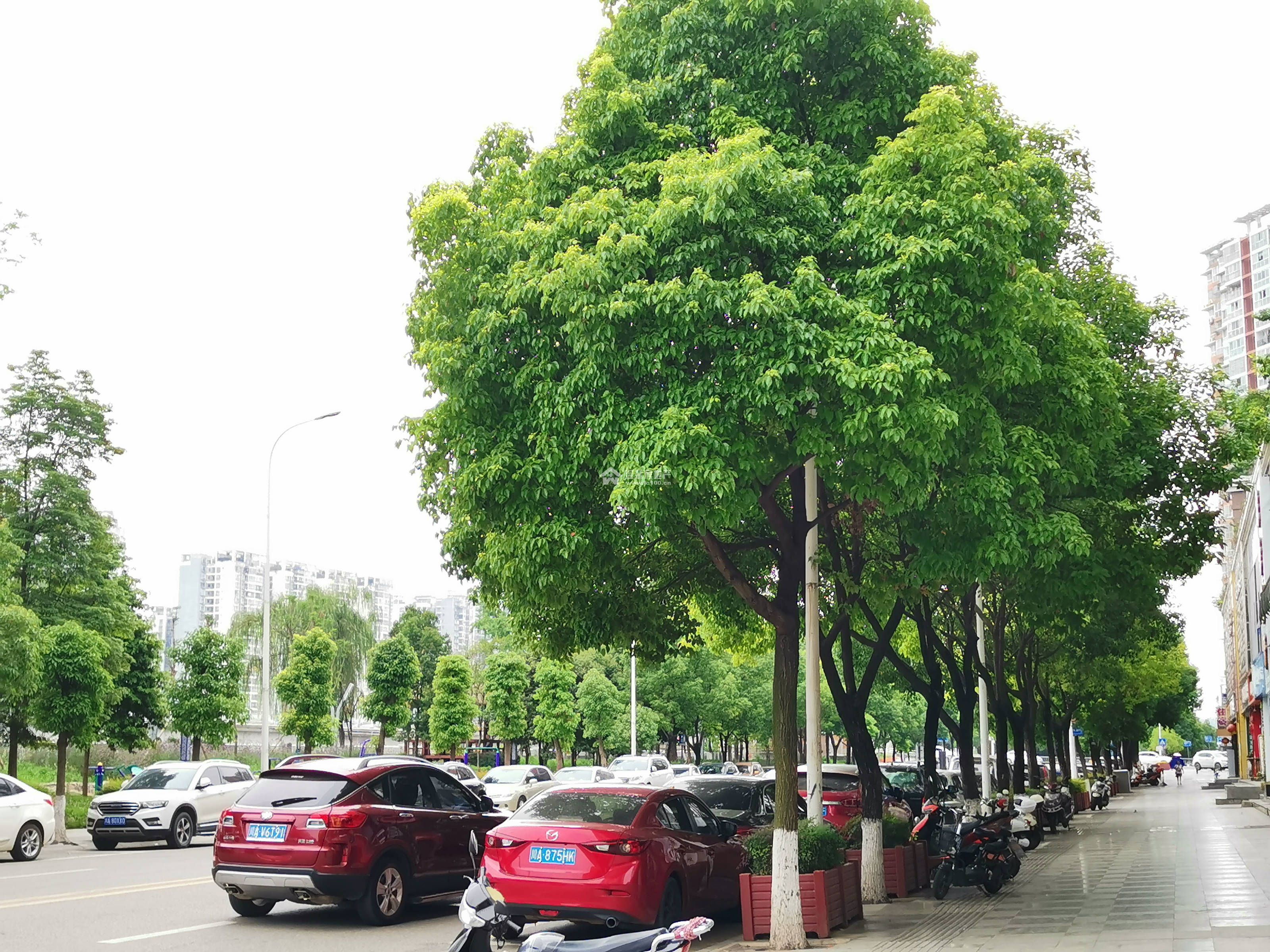 江水湾一二期图片