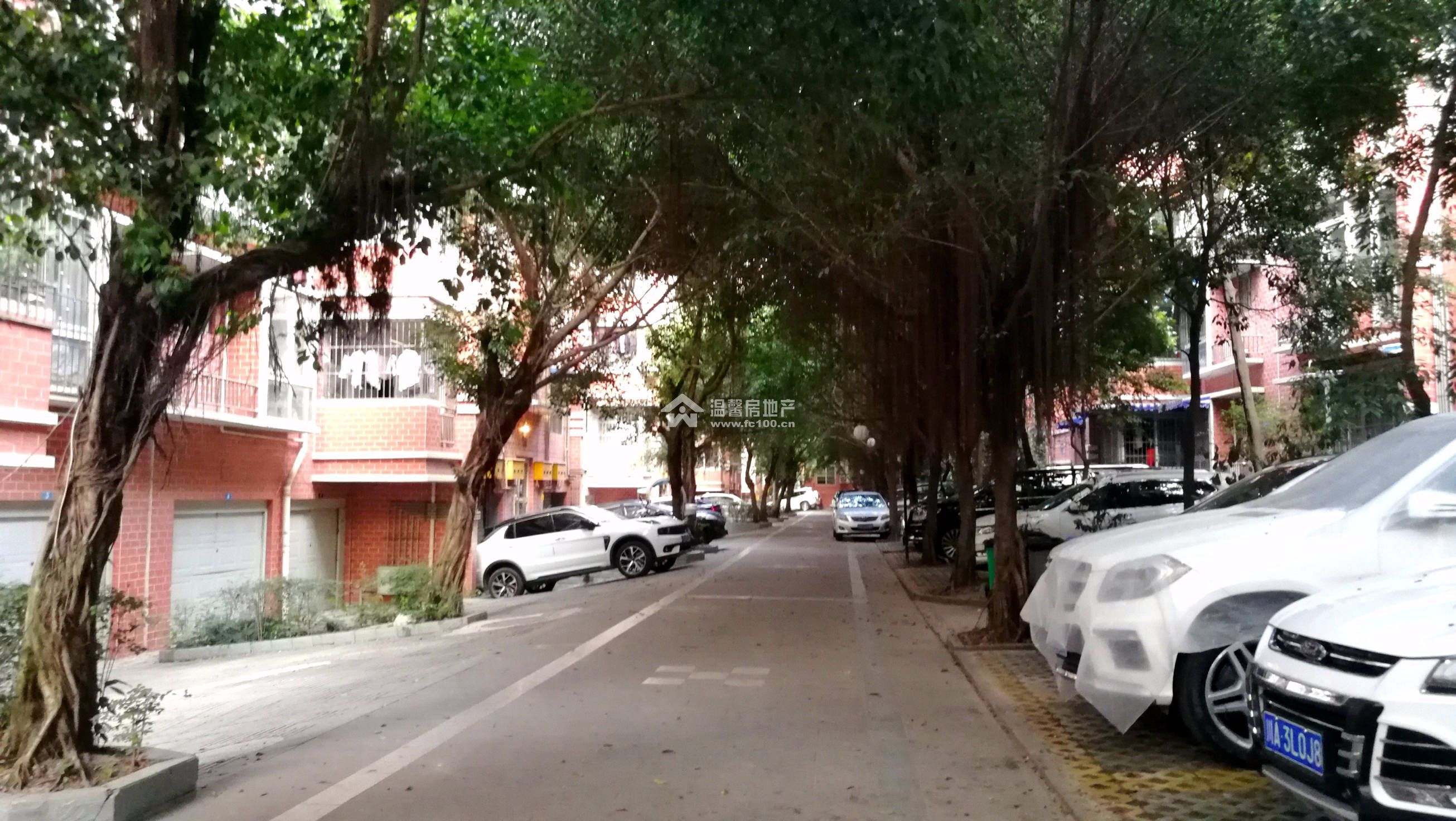 山水年华A区图片