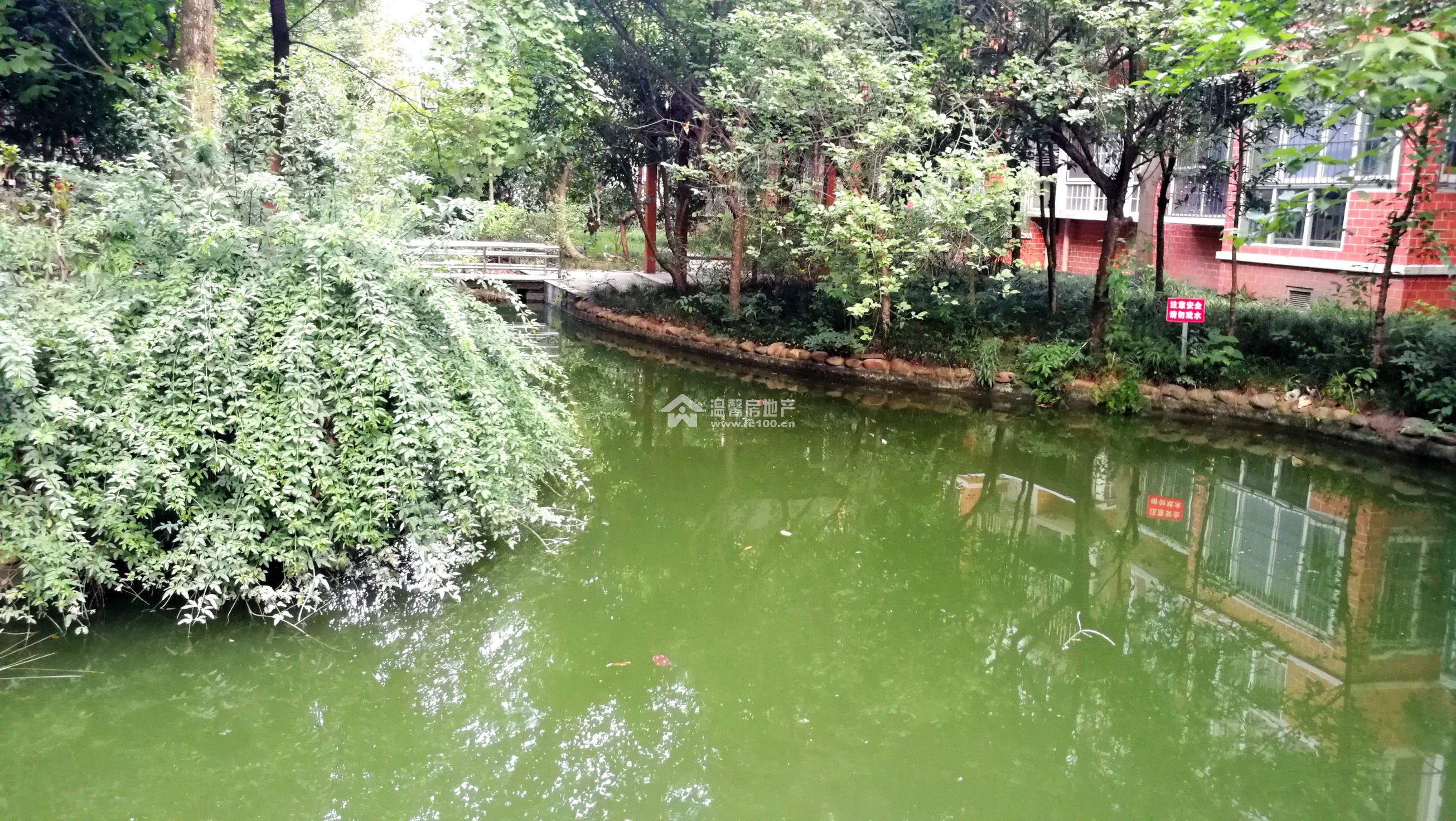 山水年华A区图片