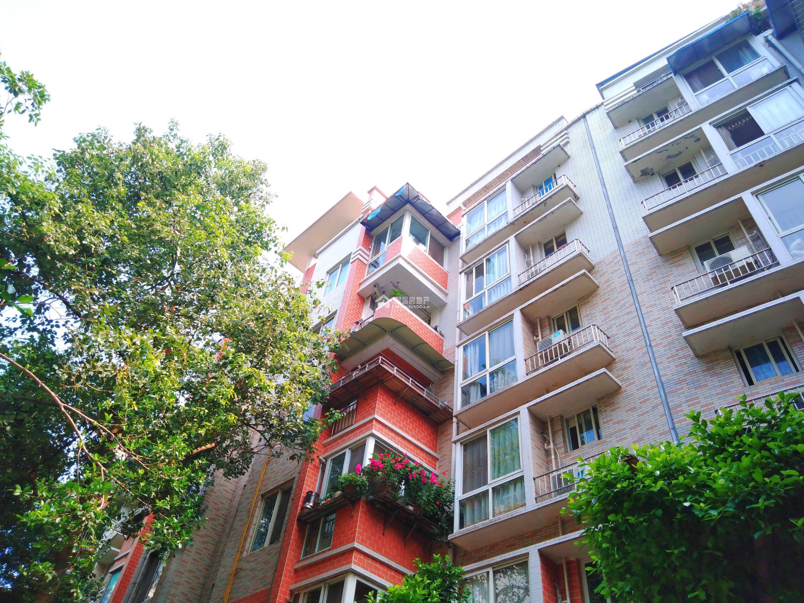 山水年华A区图片