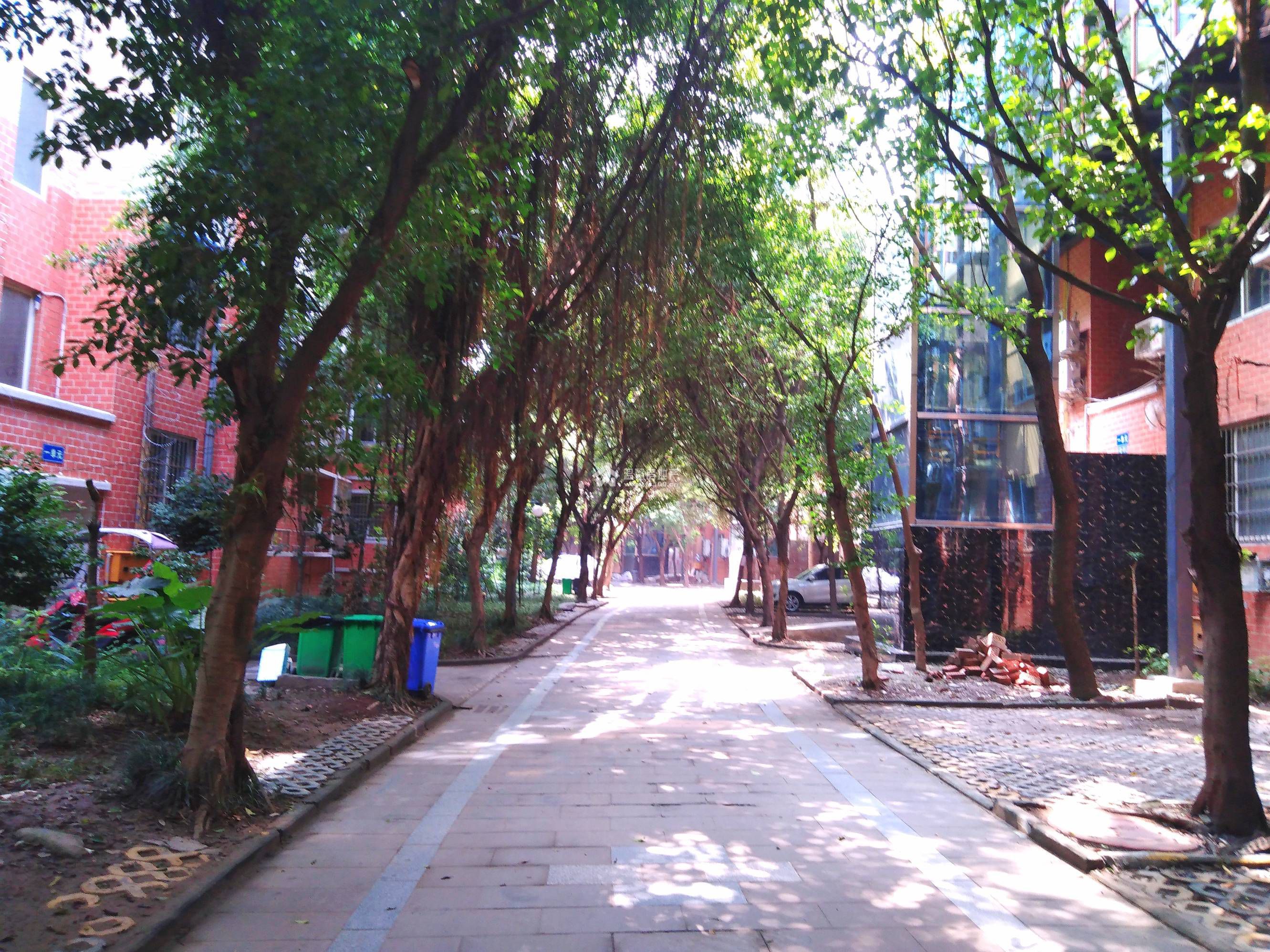 山水年华A区图片