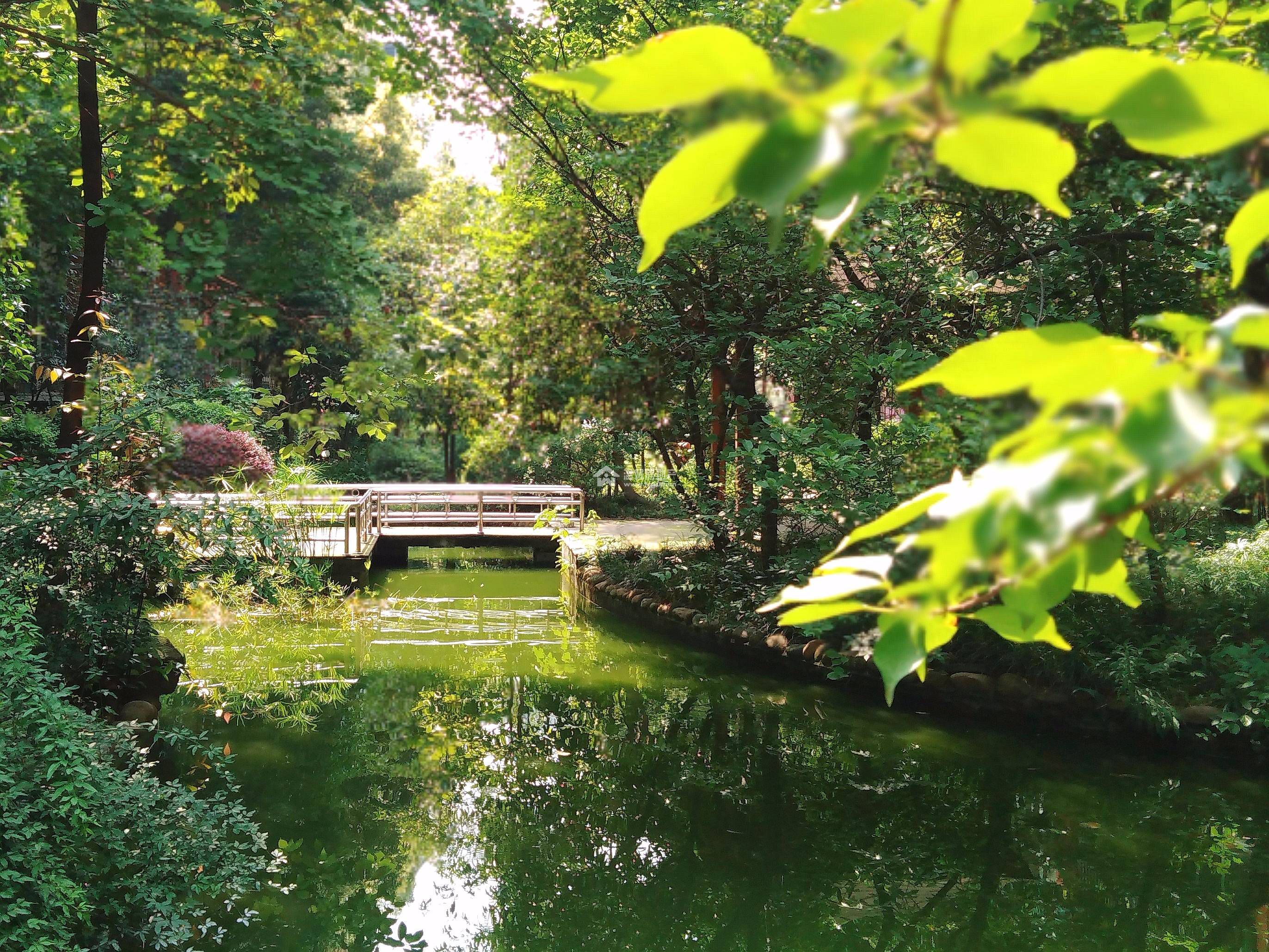 山水年华A区图片