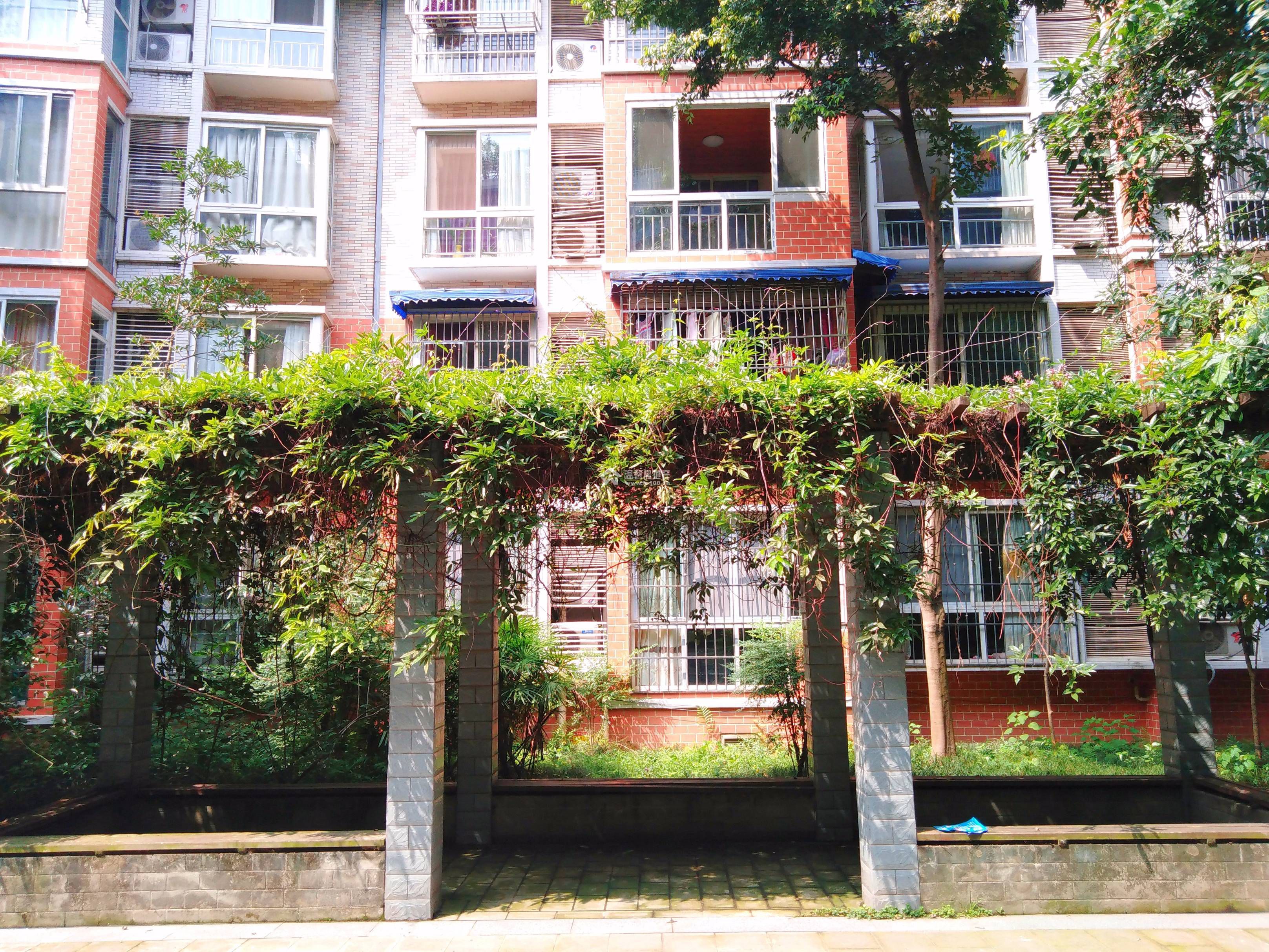 山水年华A区图片