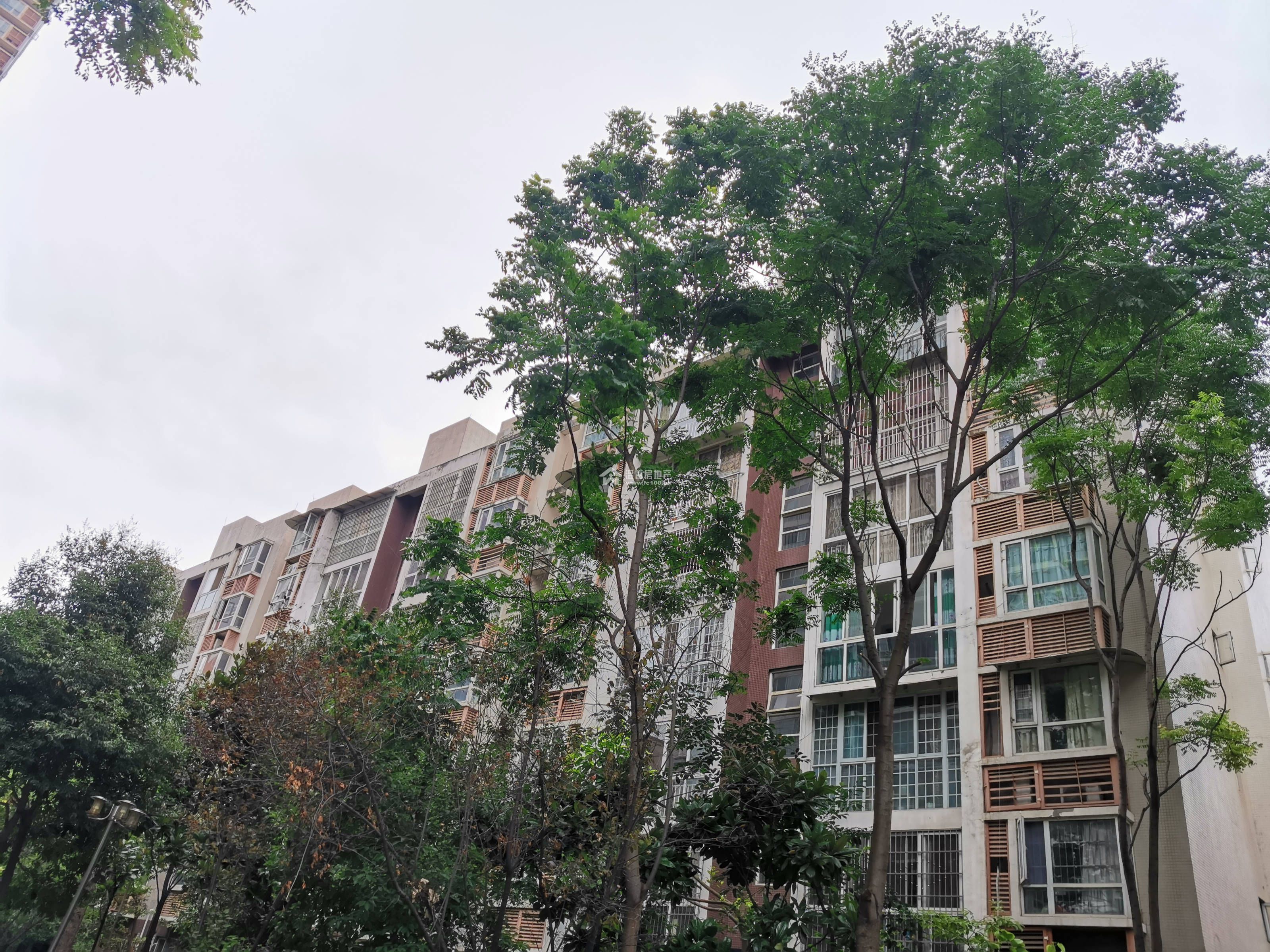 江水湾三期图片