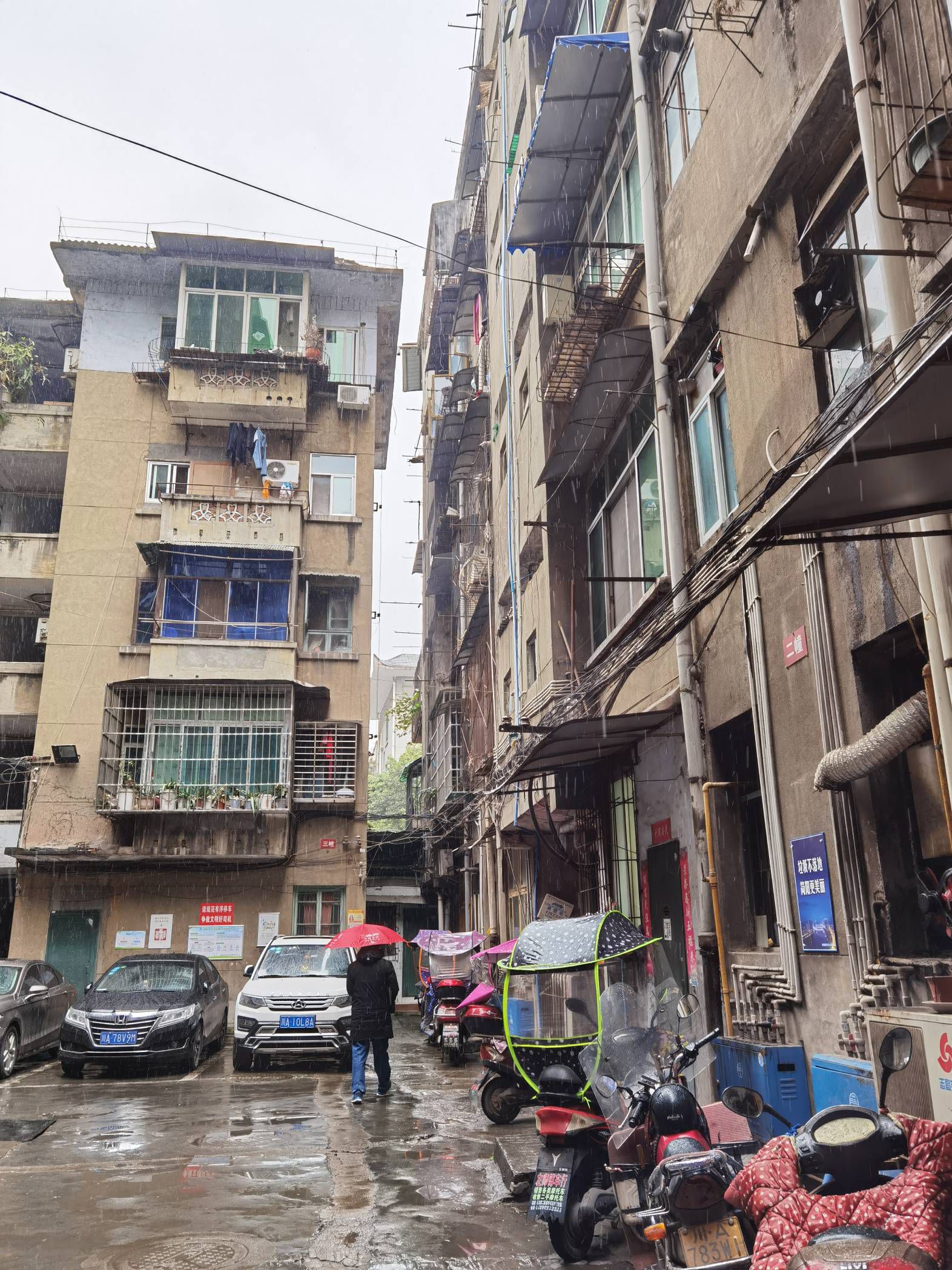 政府街政府小院图片