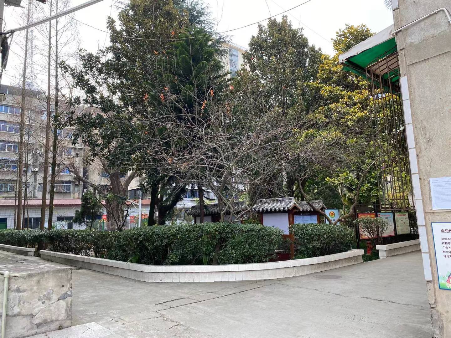 政府街政府大院图片