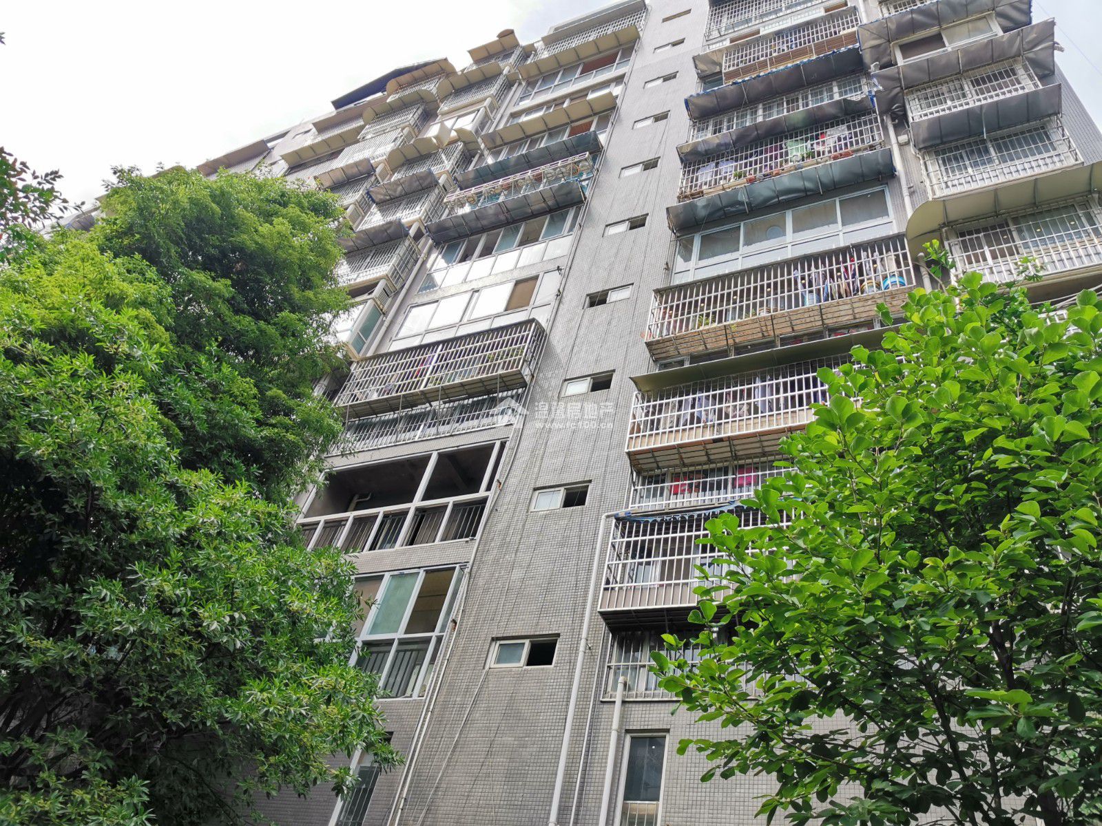 东湖胜景一期图片