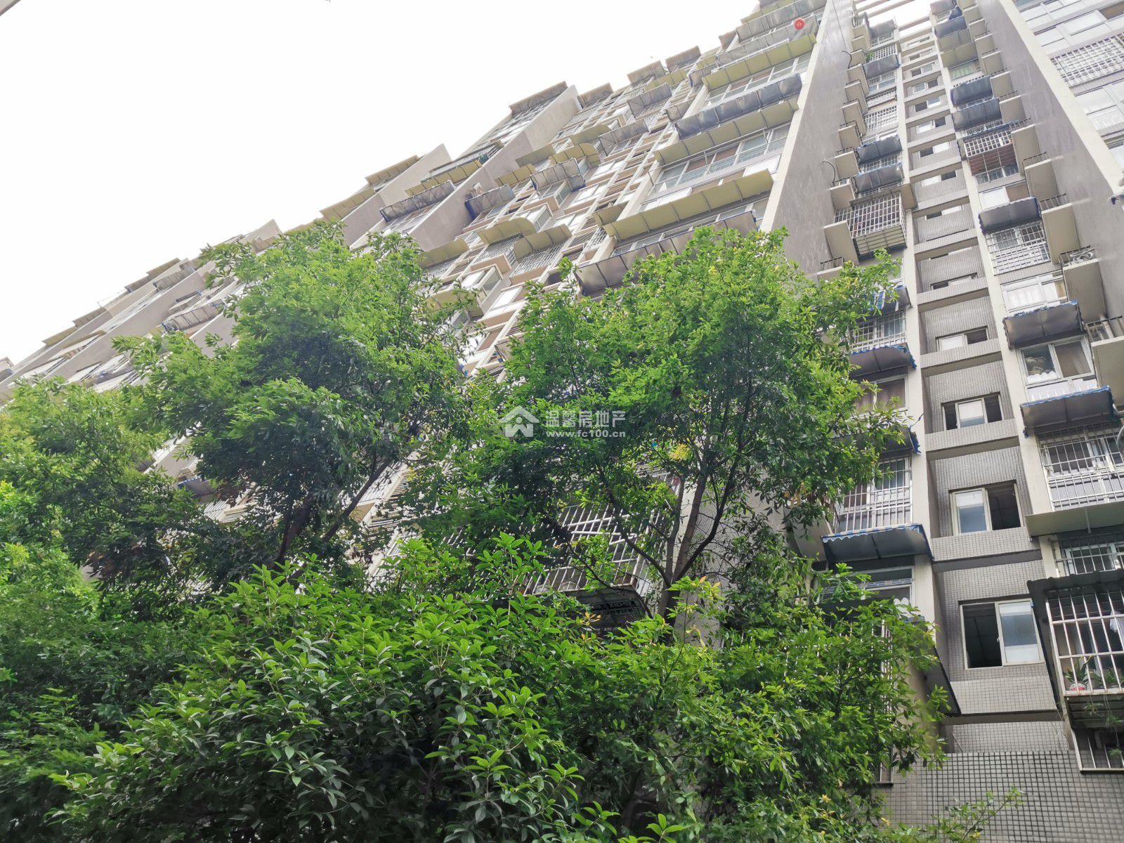 东湖胜景一期图片