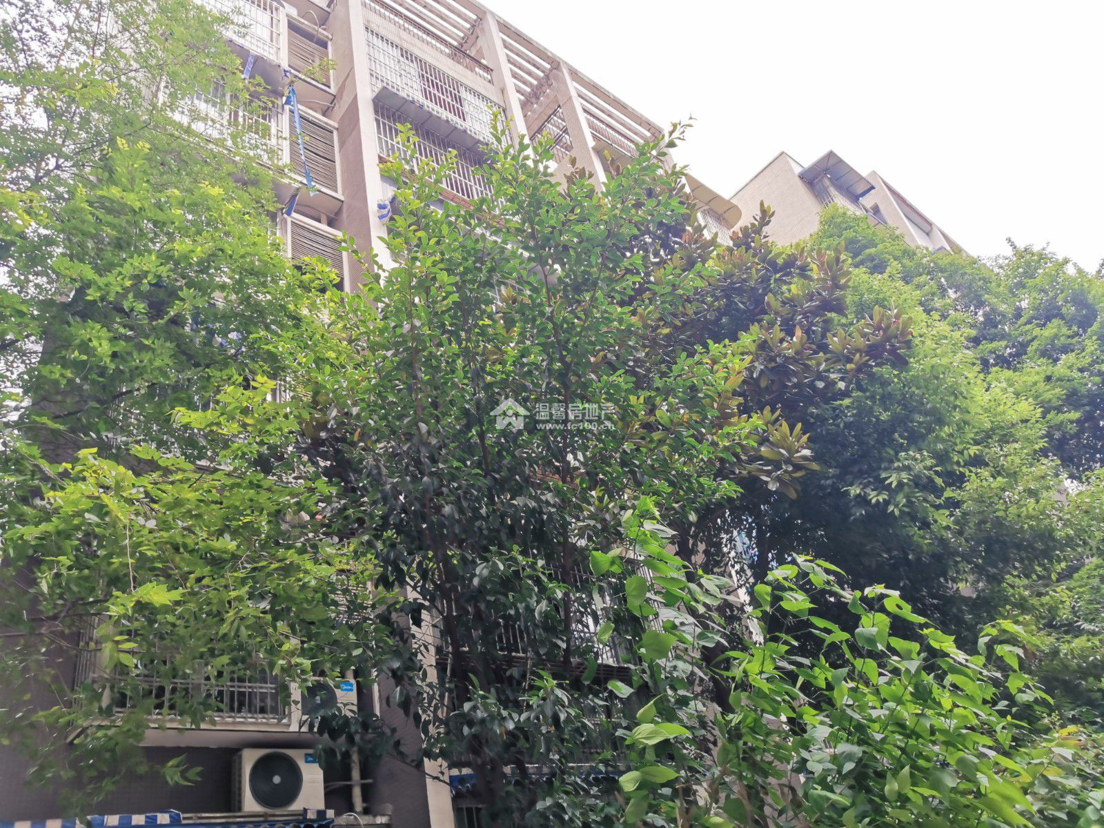 东湖胜景一期图片