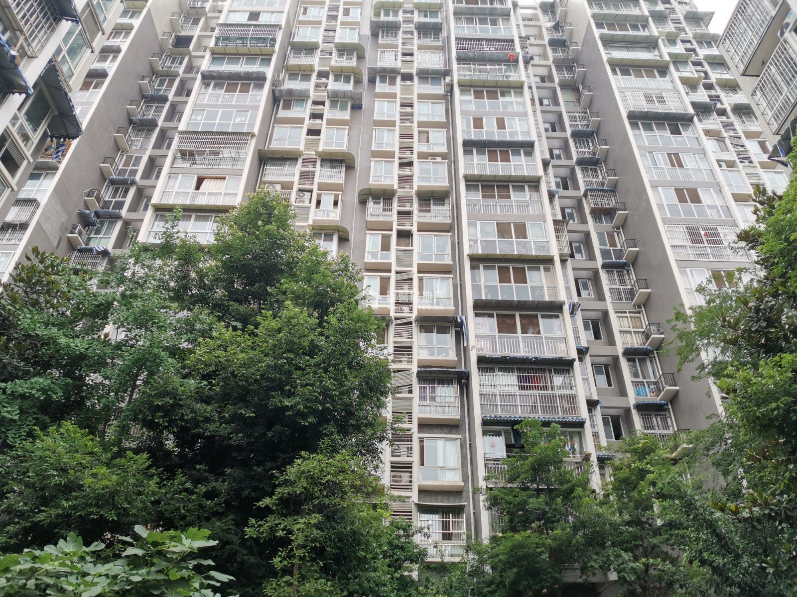 东湖胜景一期图片