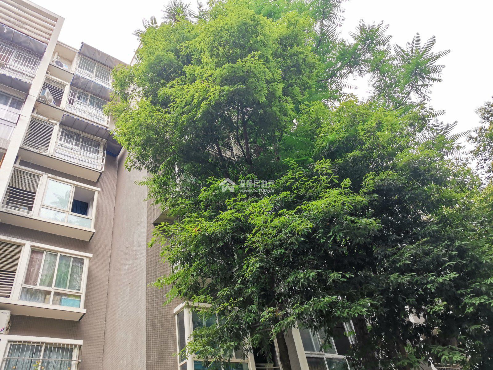 东湖胜景一期图片