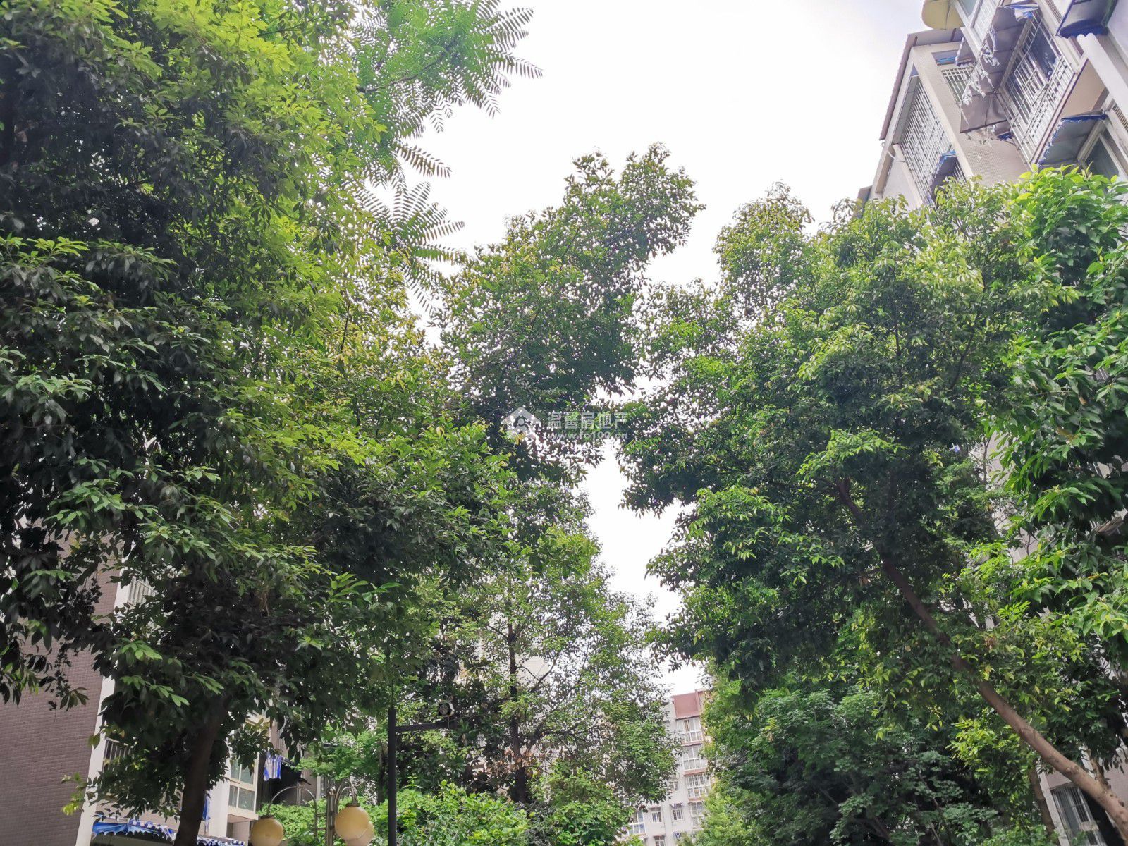 东湖胜景一期图片