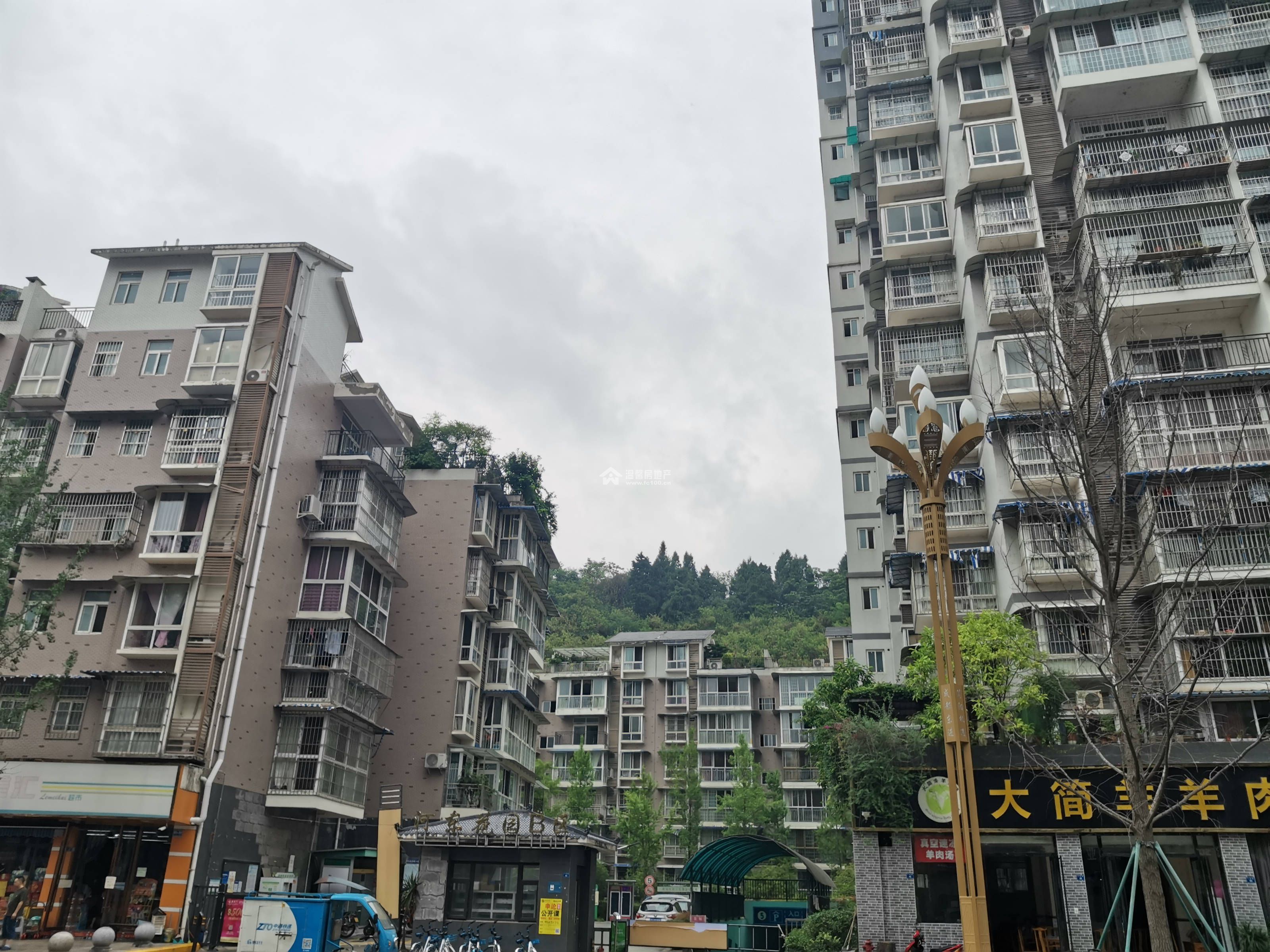 河东花园B区图片