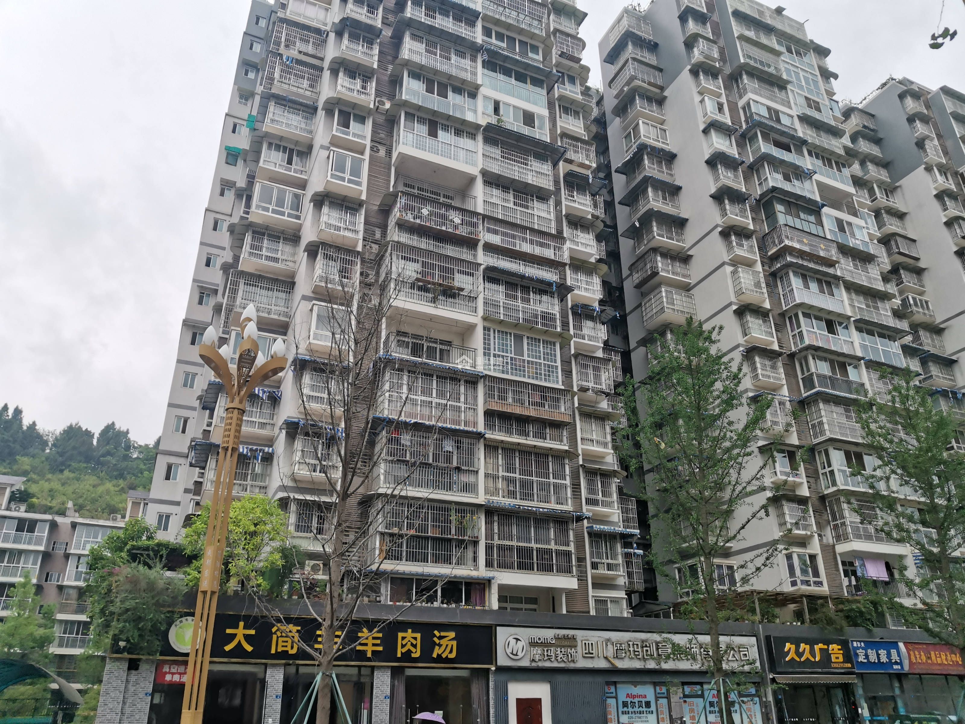 河东花园B区图片