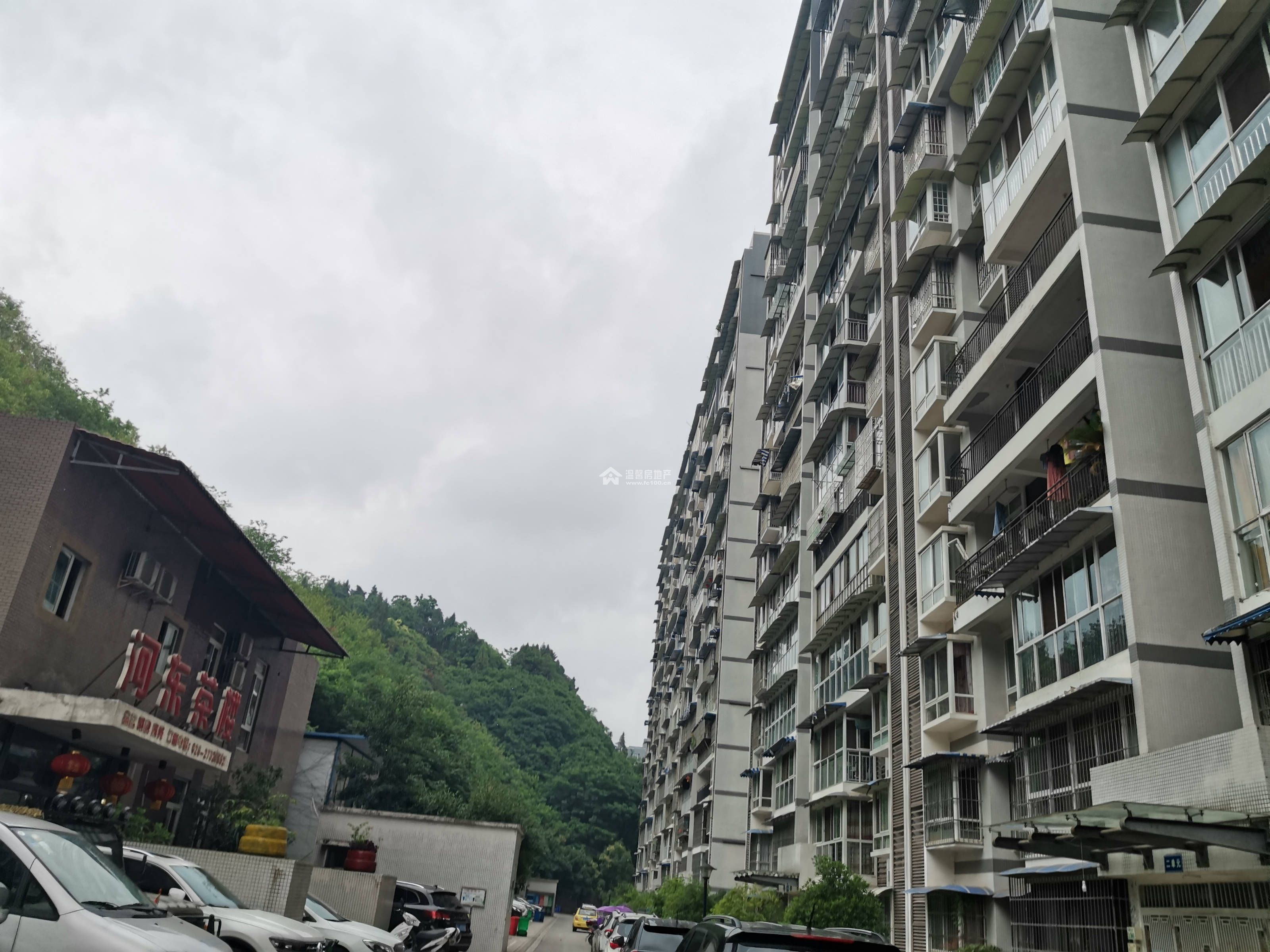 河东花园B区图片