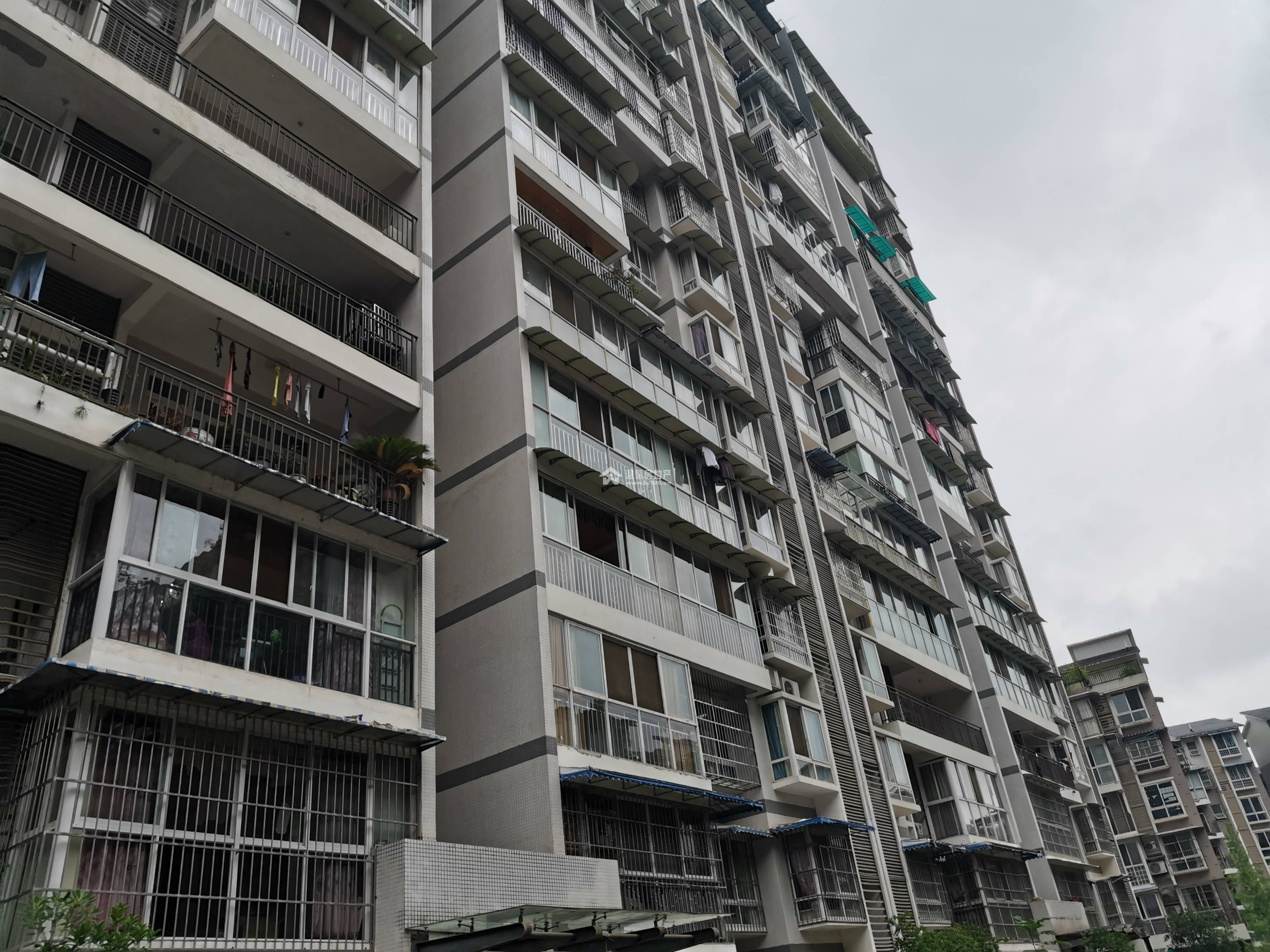 河东花园B区图片