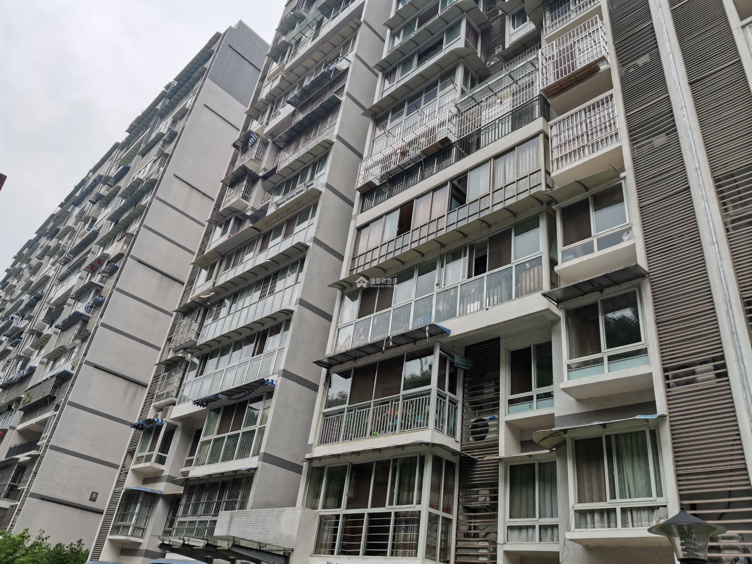 河东花园B区图片