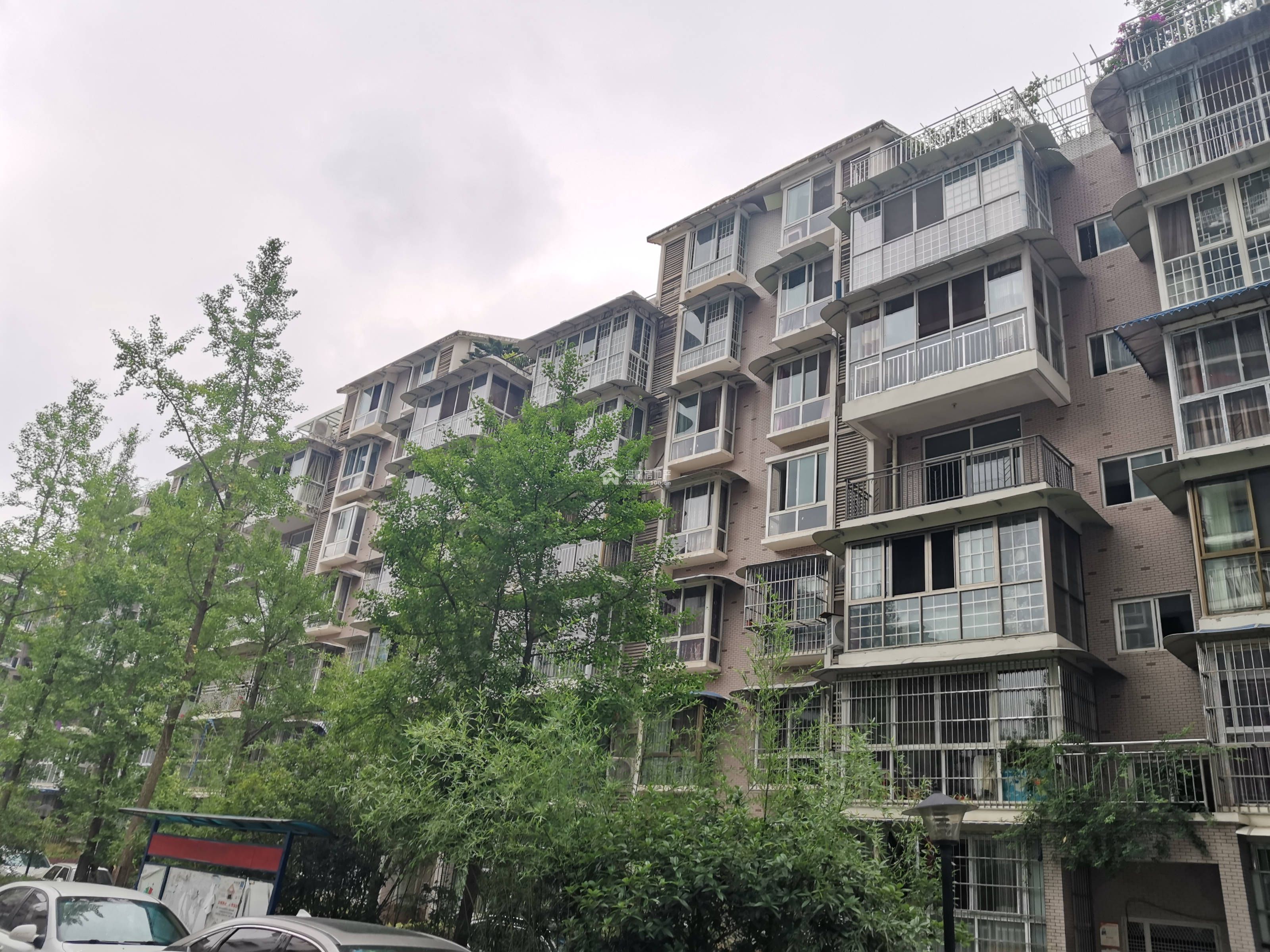 河东花园B区图片