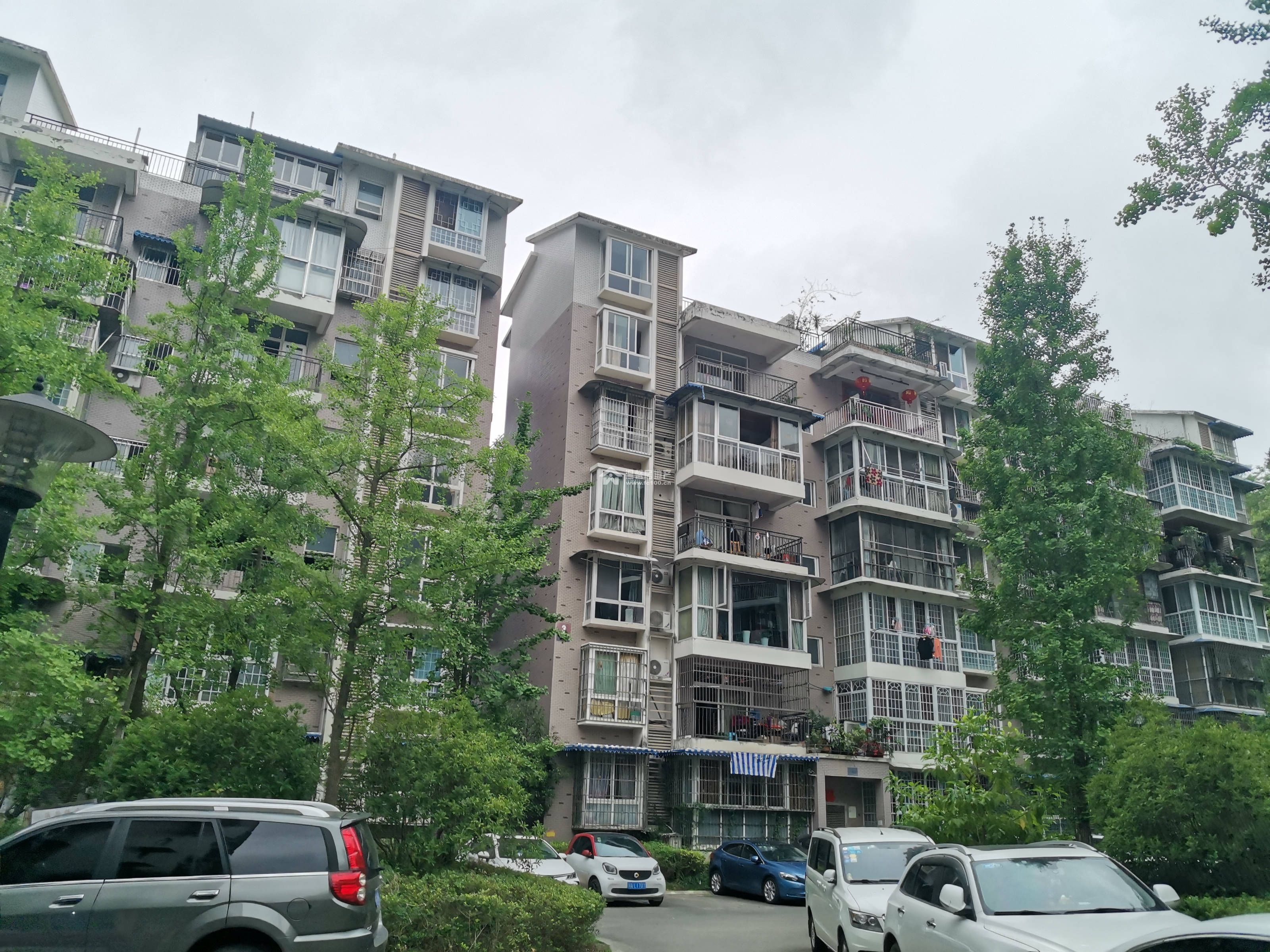 河东花园B区图片