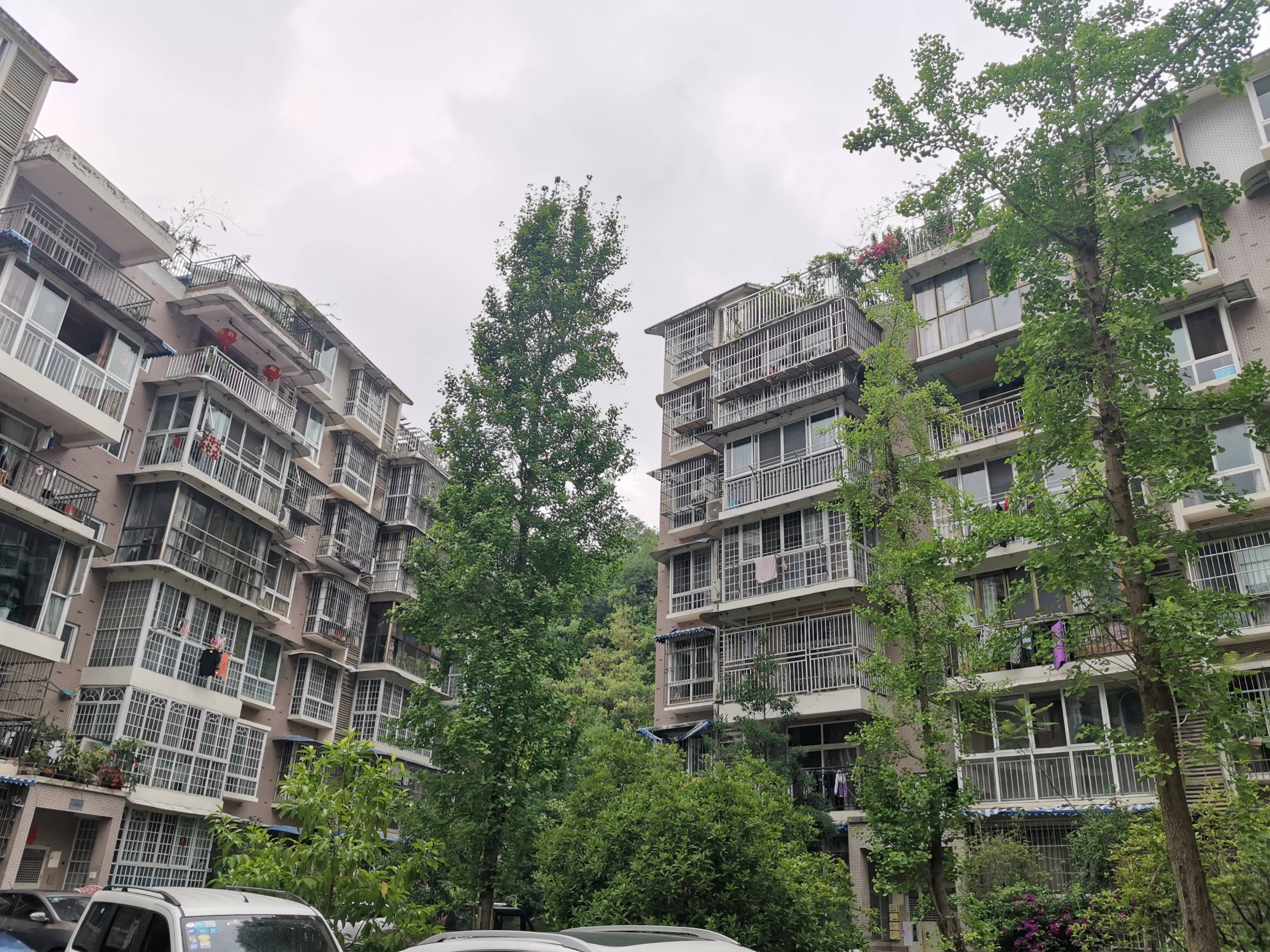 河东花园B区图片