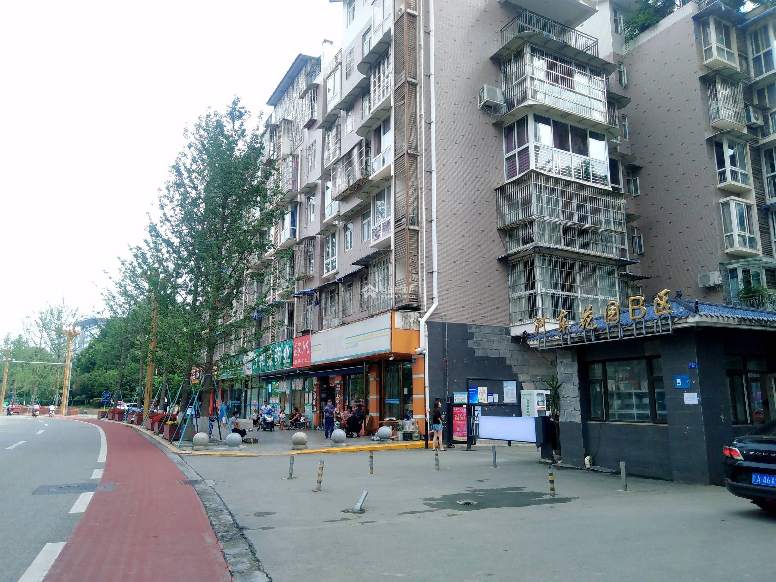 河东花园B区图片