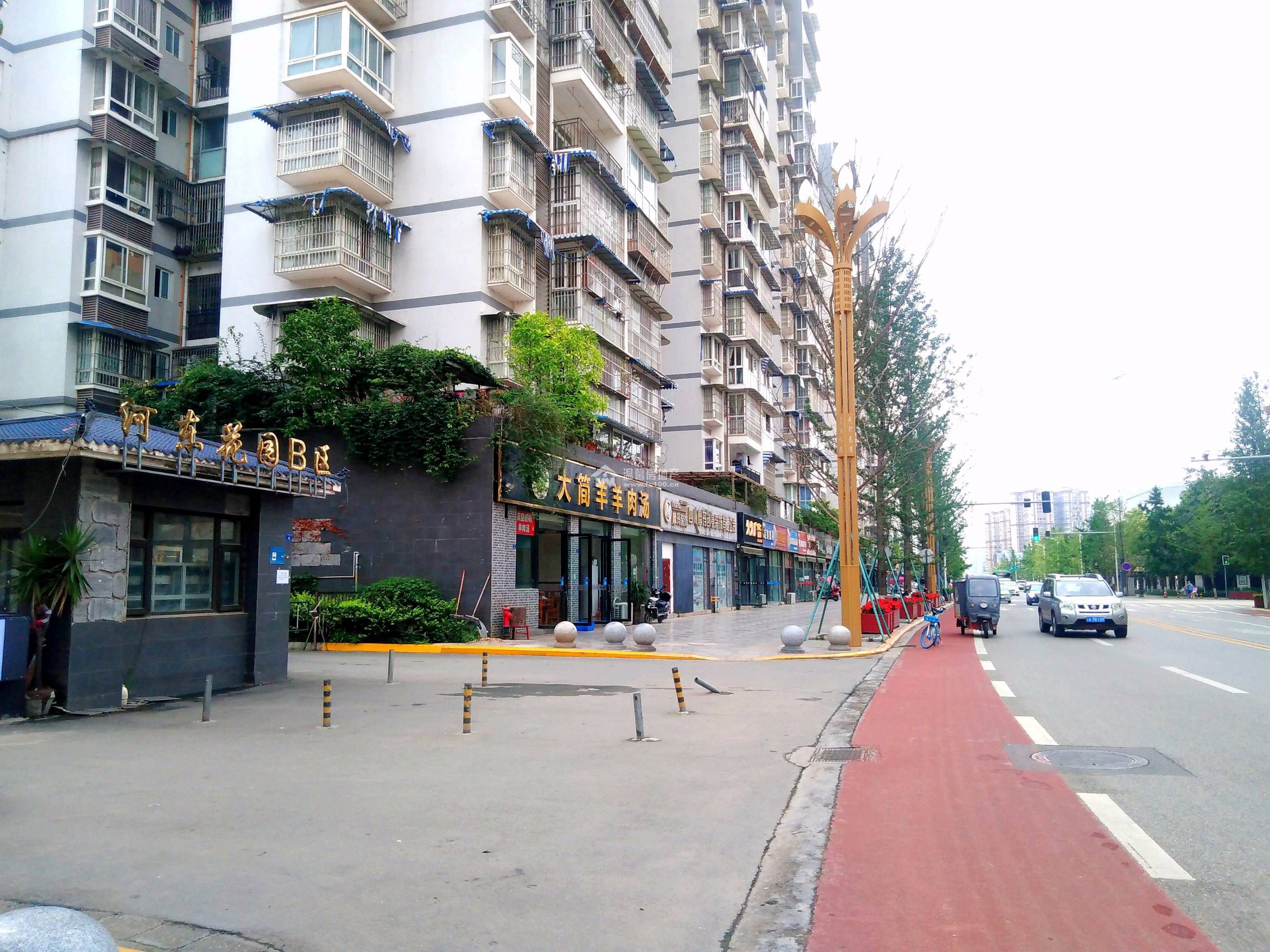 河东花园B区图片