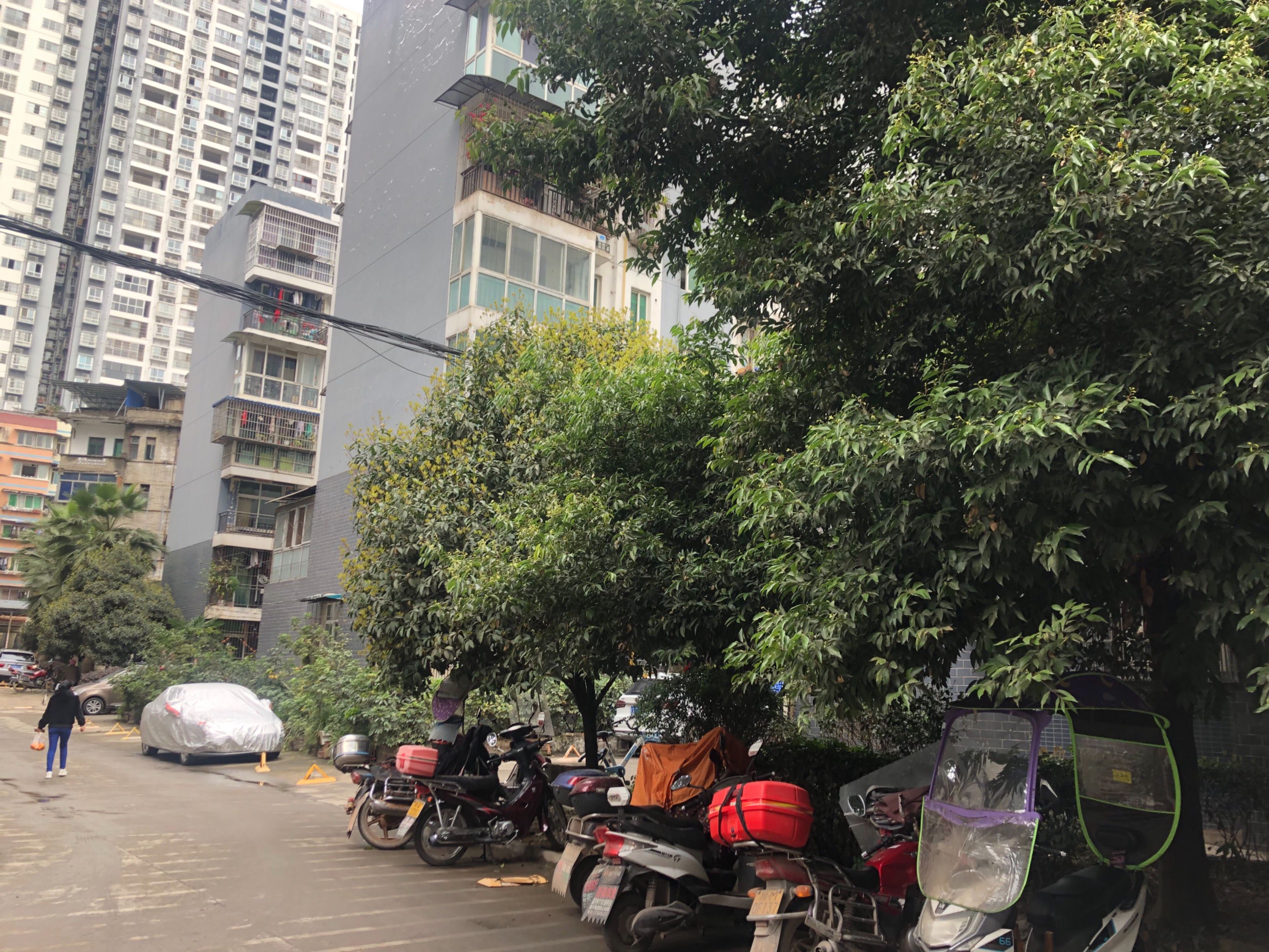 安象街210号图片