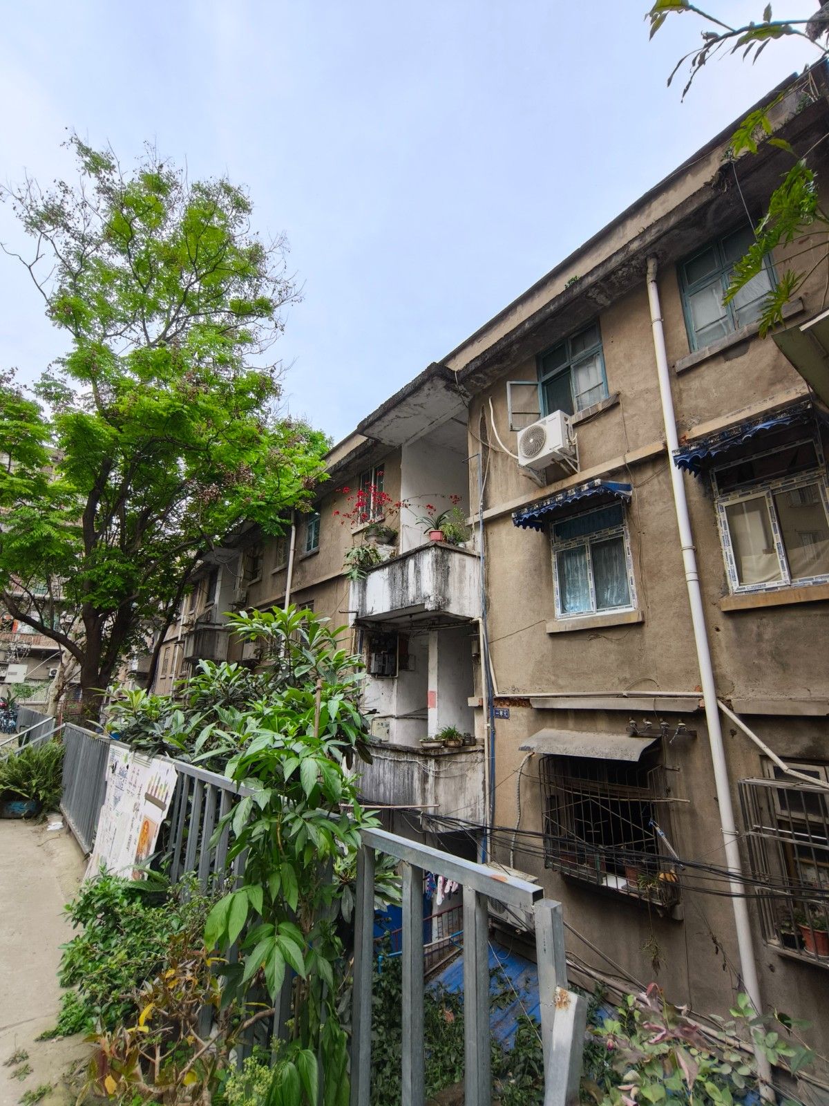 安象街油化厂图片