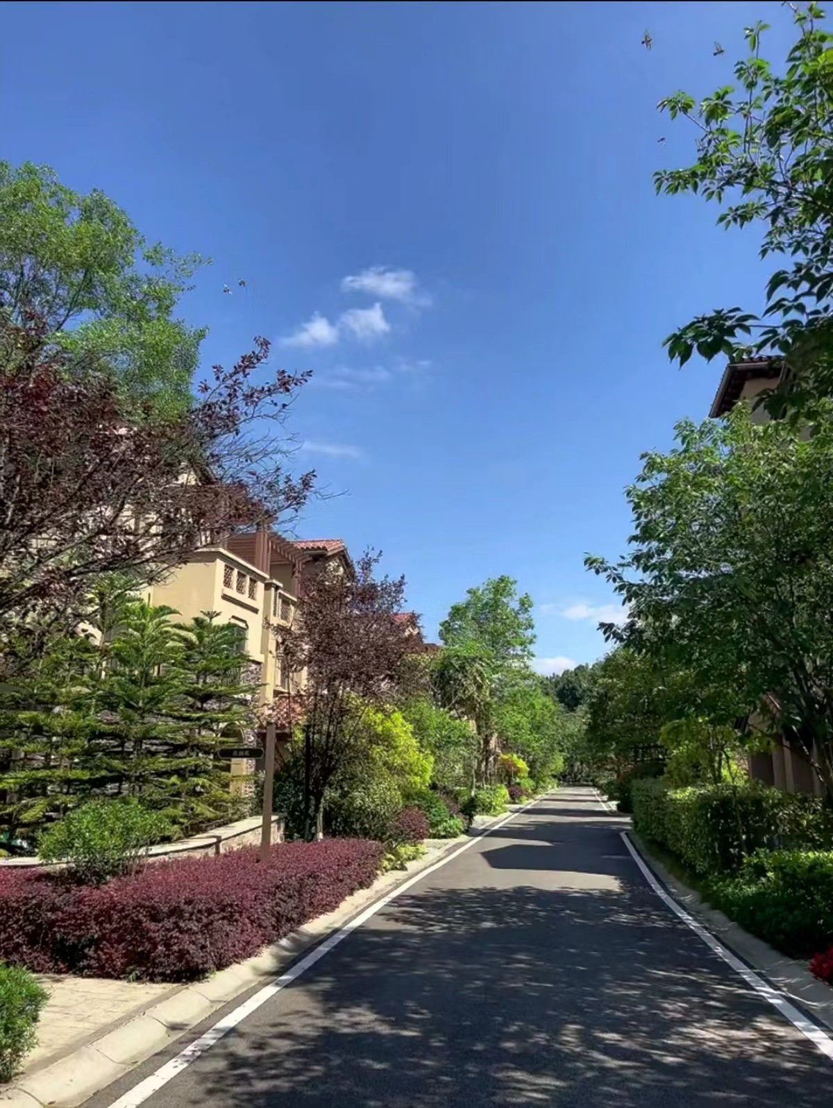 世茂云湖2区4区图片