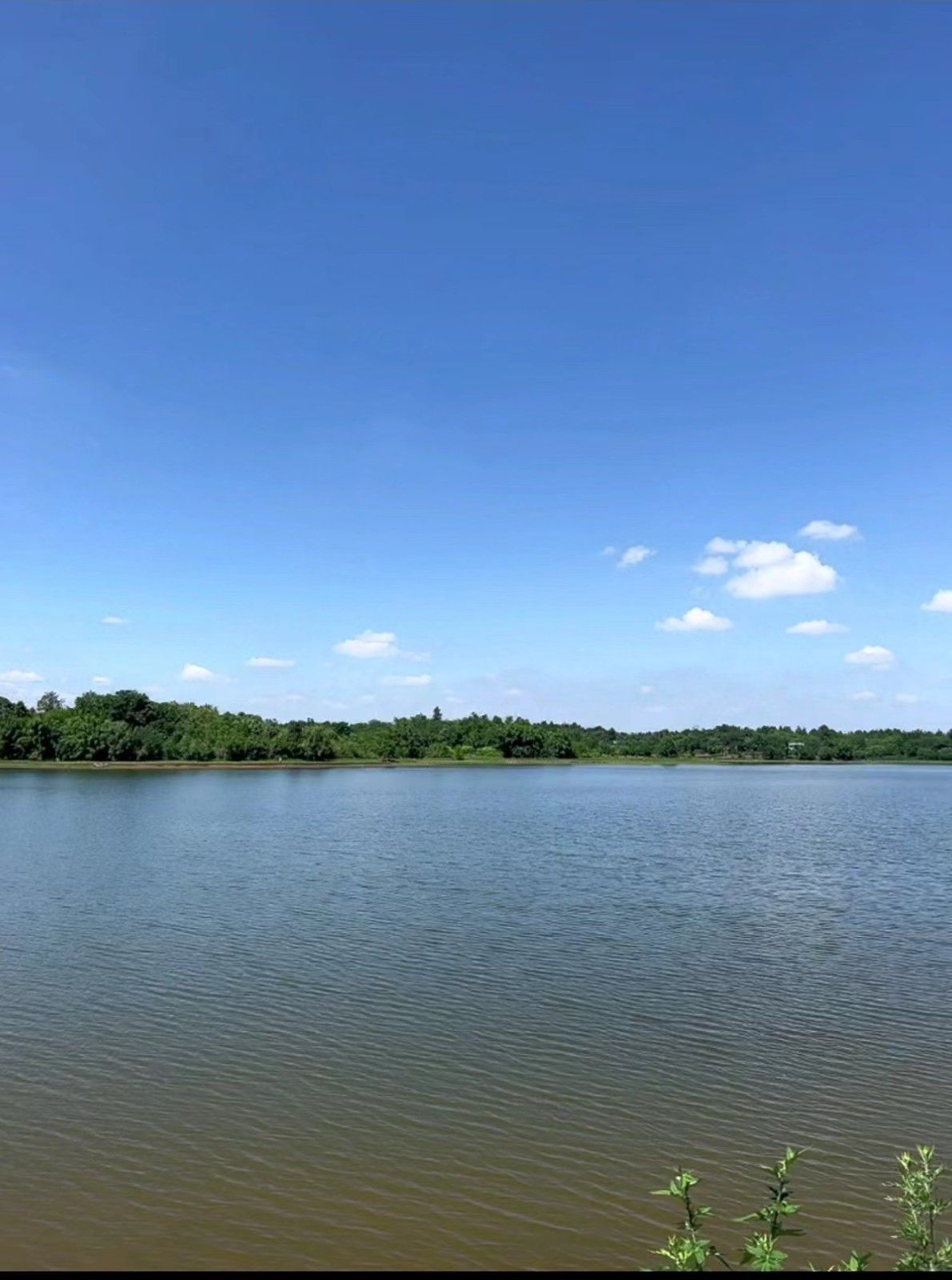 世茂云湖2区4区图片