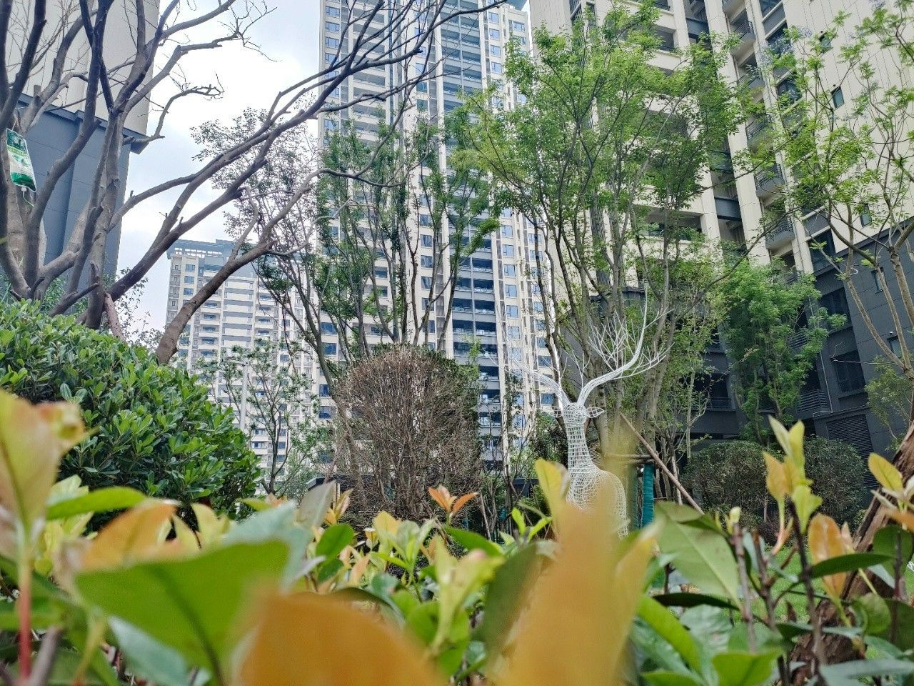 迎宾一号（香憬庭）图片