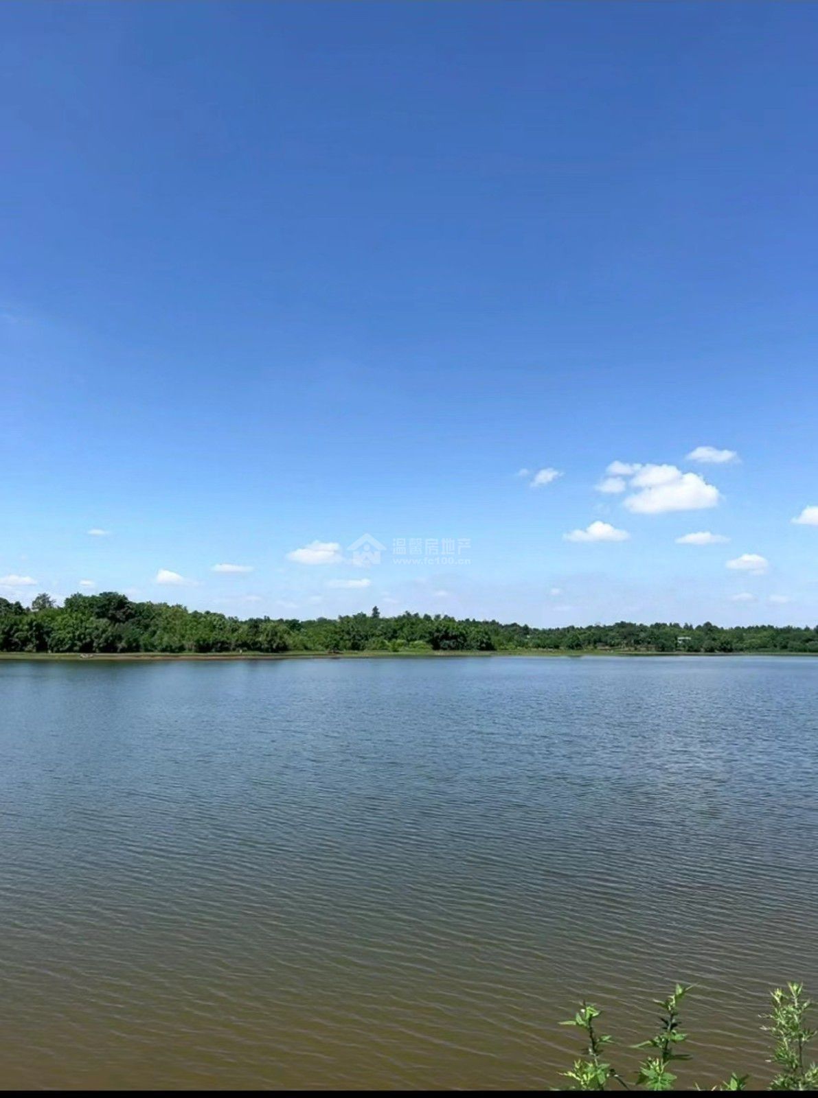 世茂云湖7区图片